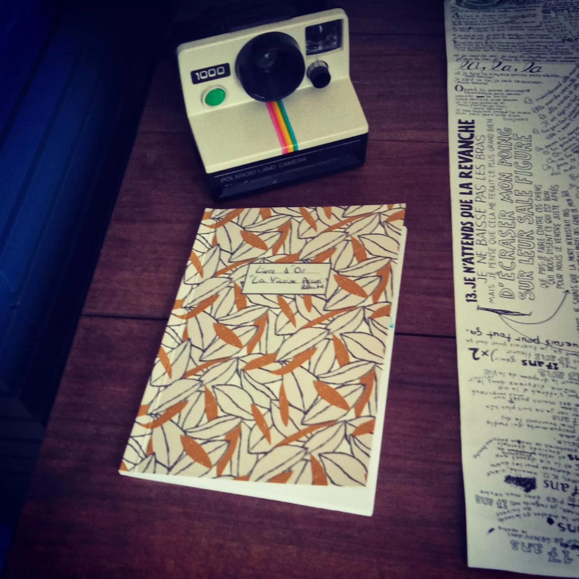 La Vicoise Accueillante