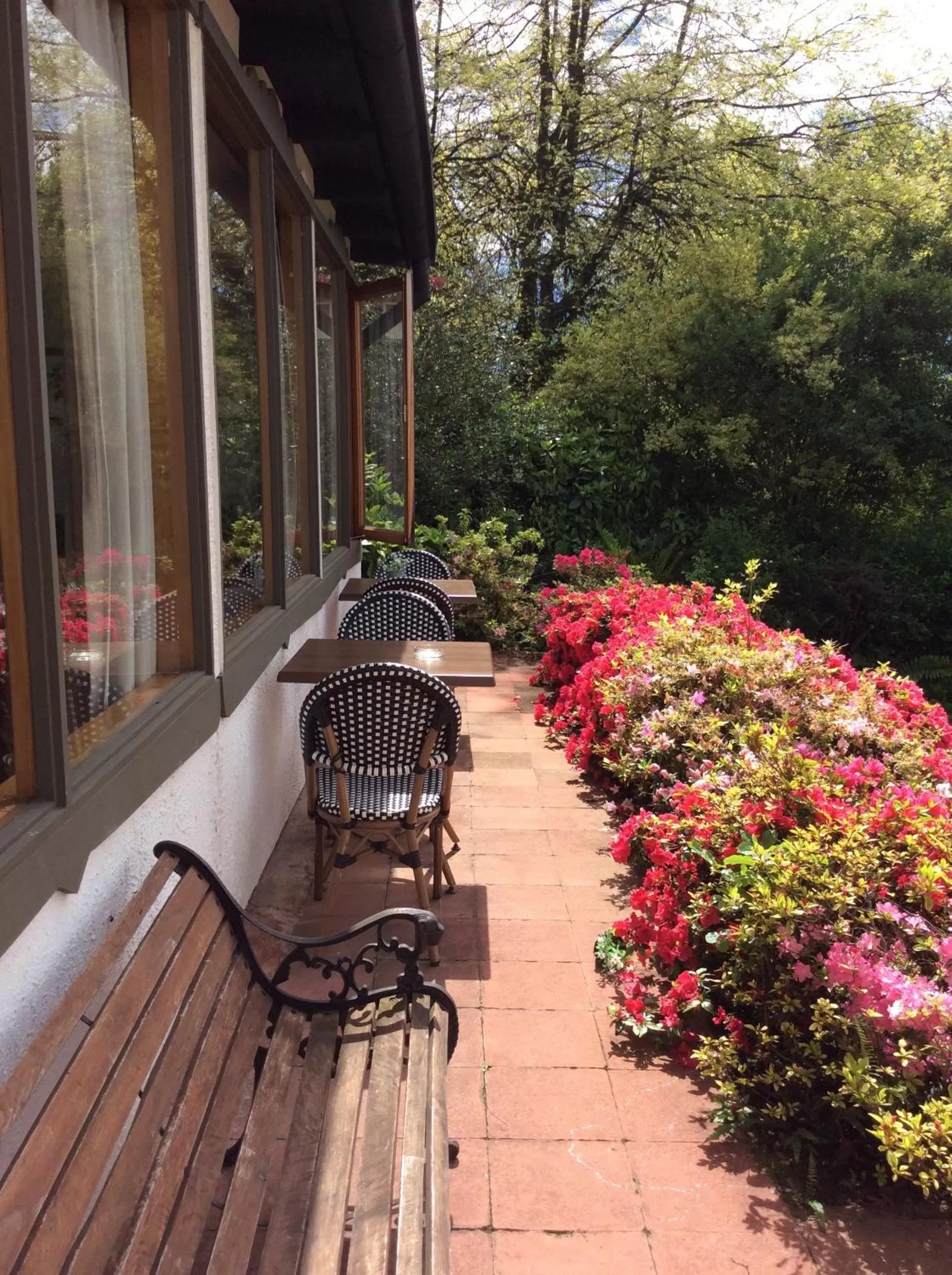 Balcony/Terrace in Hotel El Ciervo