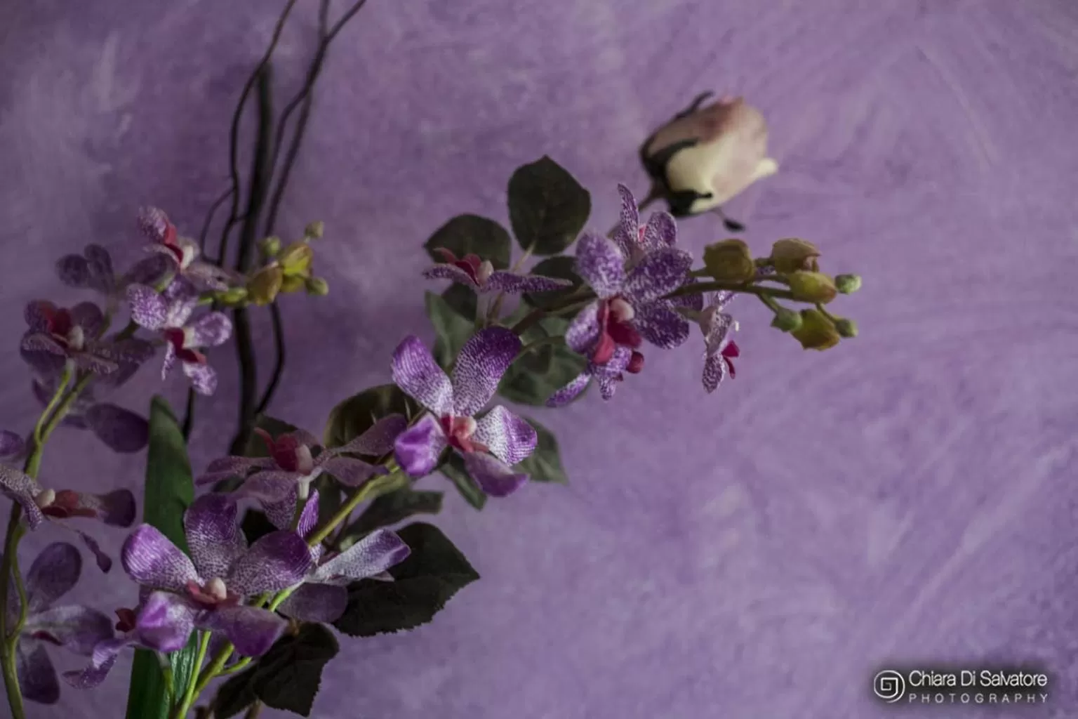 Living room in B&B Villa Francesco