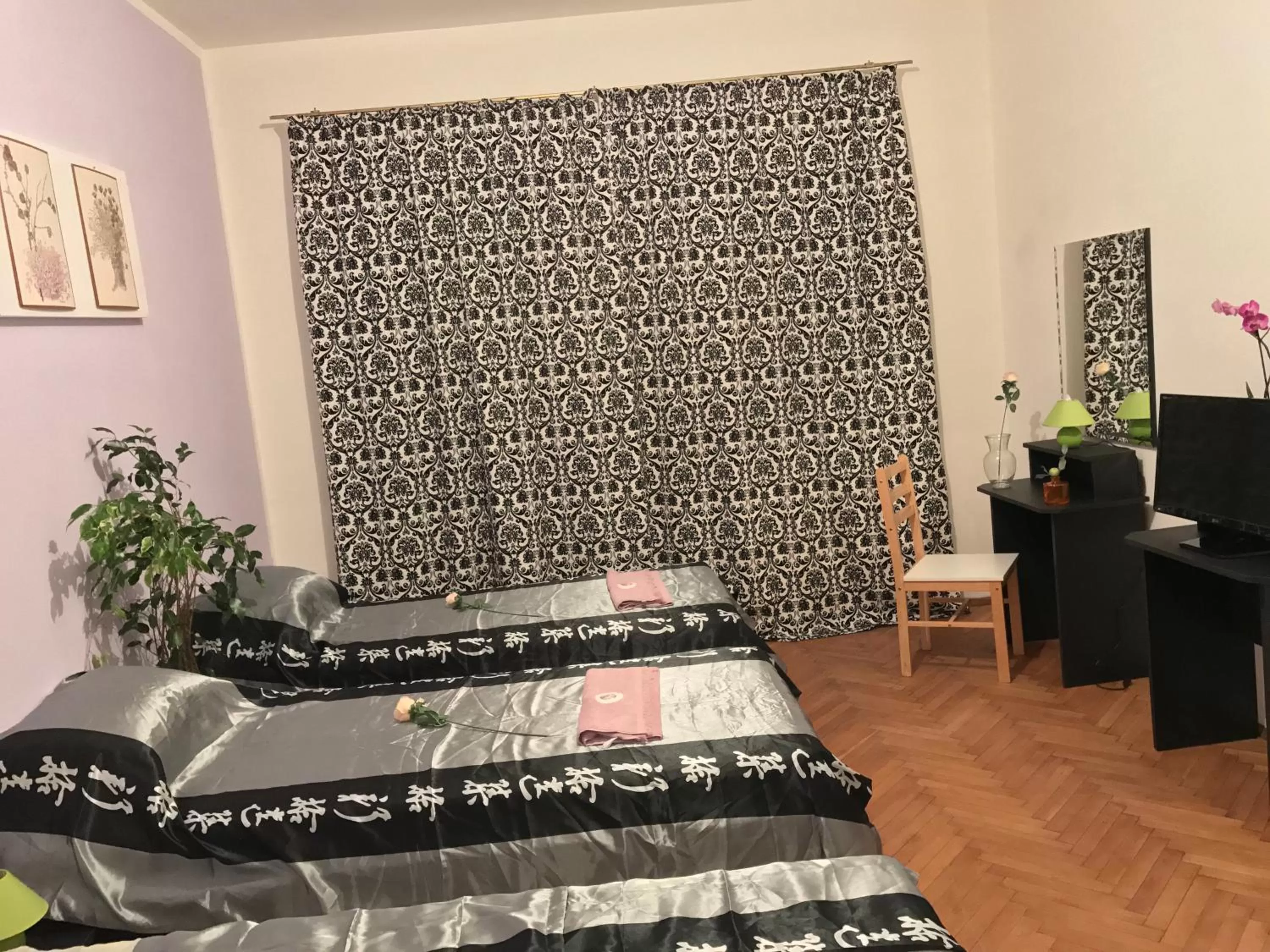 Photo of the whole room in Belle Stelle Sofia