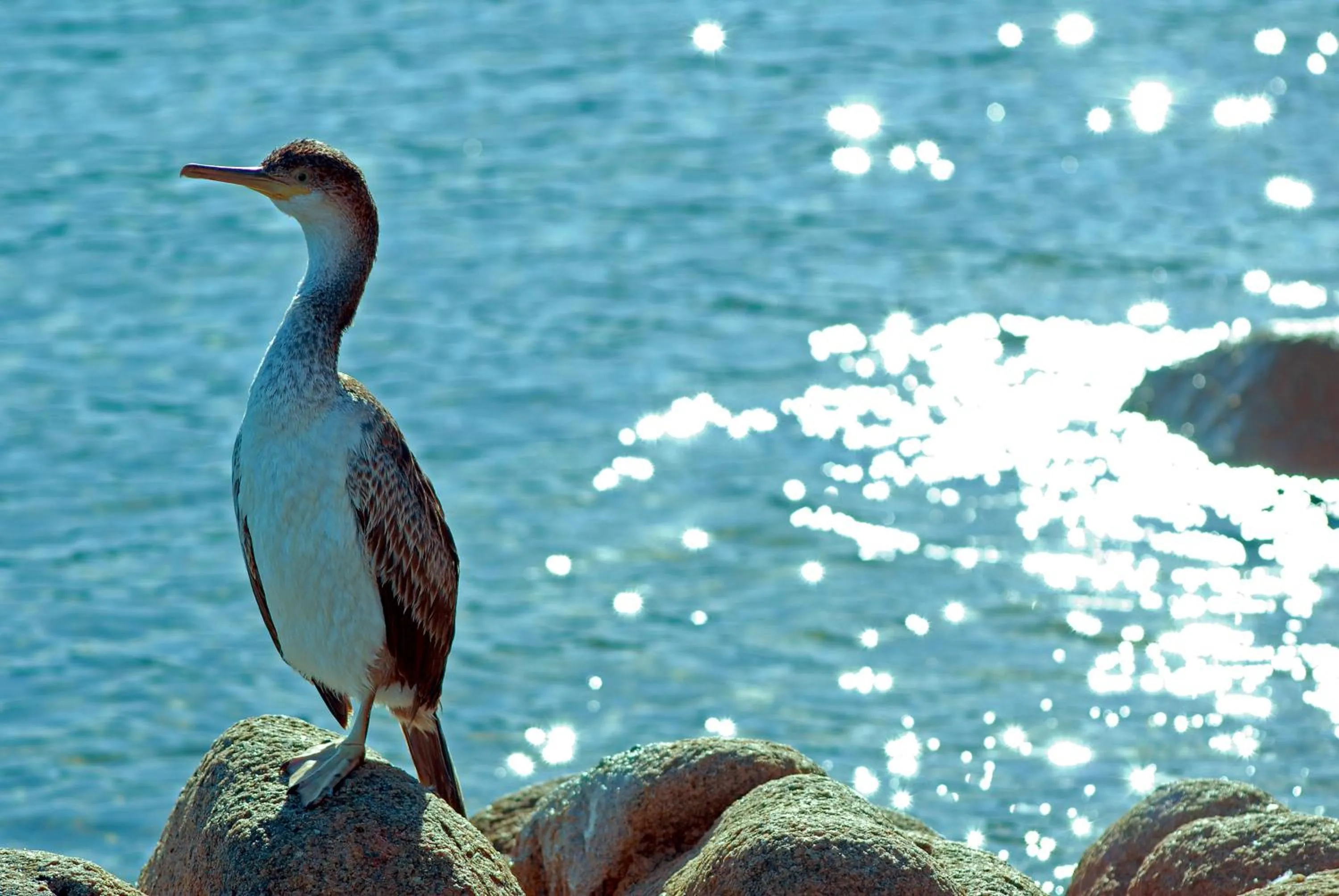 Facade/entrance in Grand Hotel Resort&SPA Ma&Ma - Adults Only