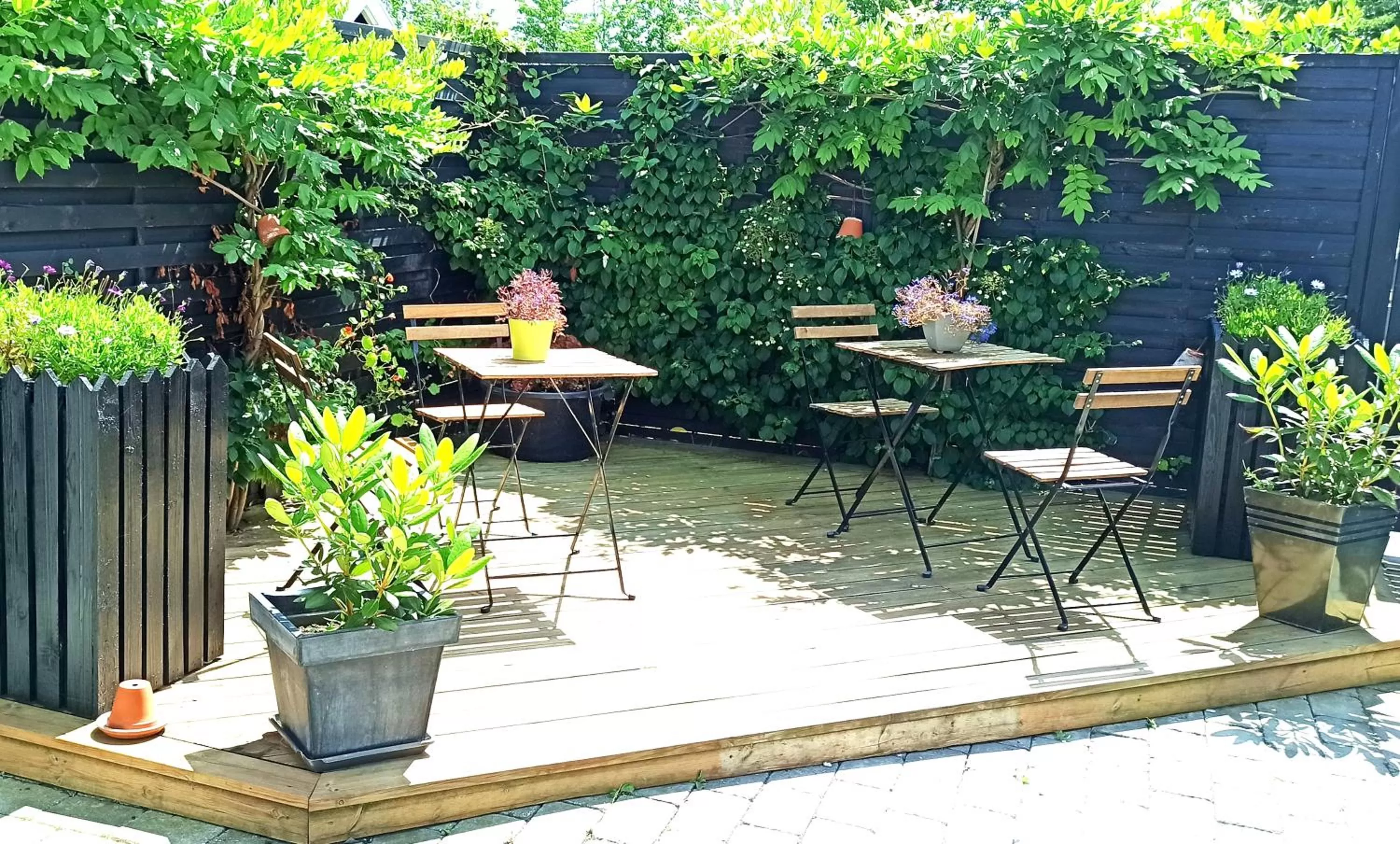 Dragondrum Bed & Breakfast