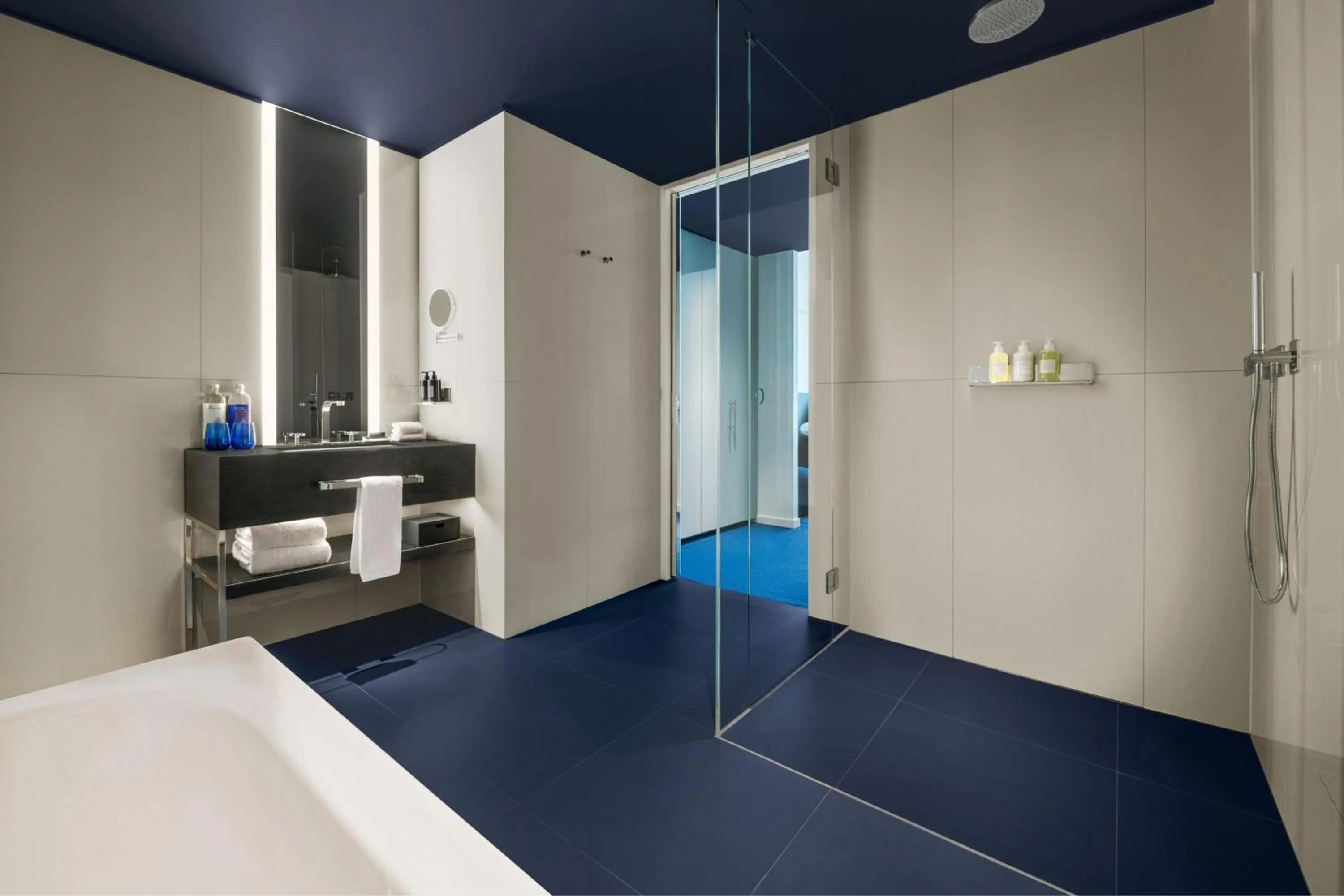 Bathroom in W Sydney