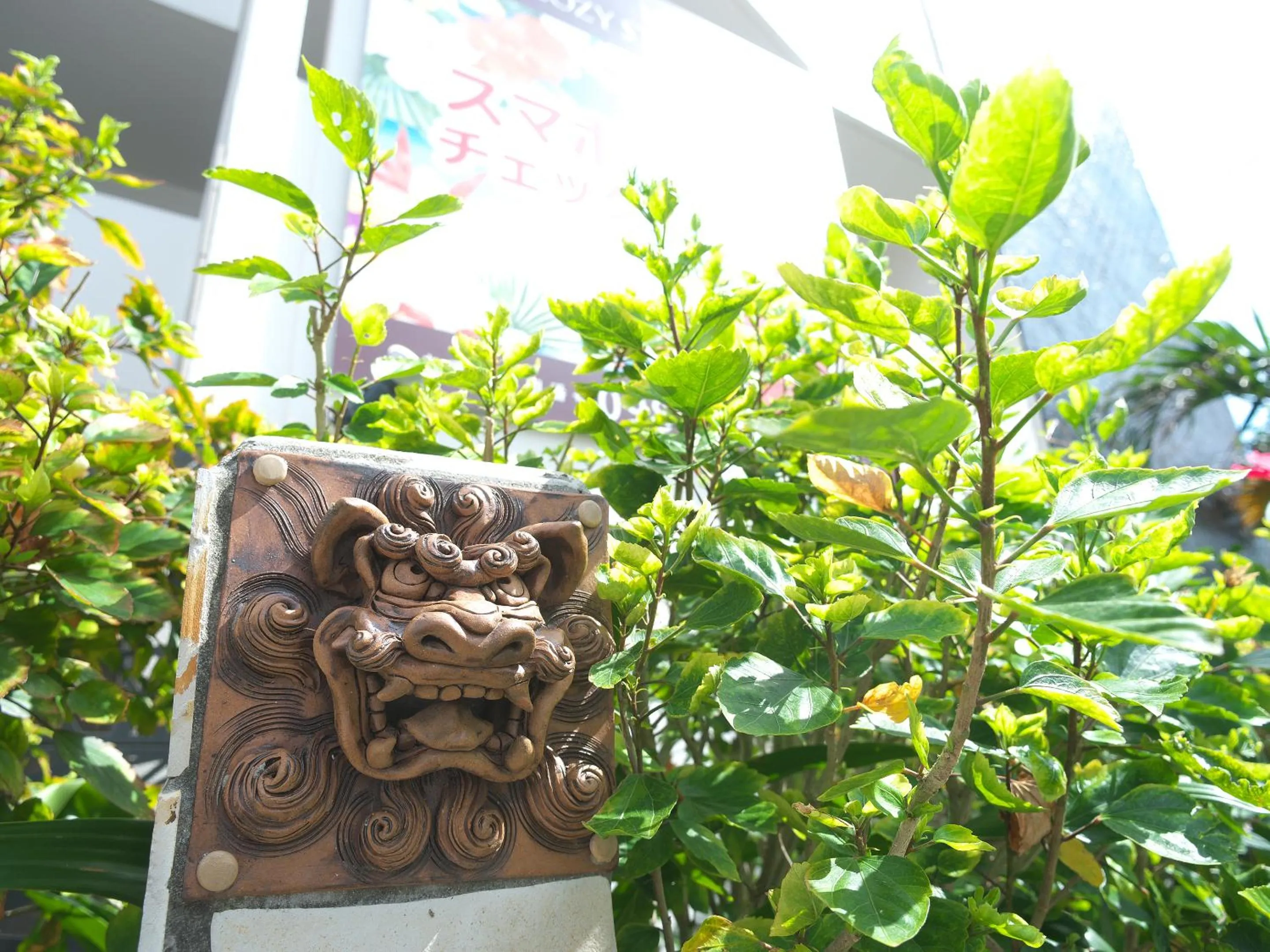 Day in Cozy Stay in Naha