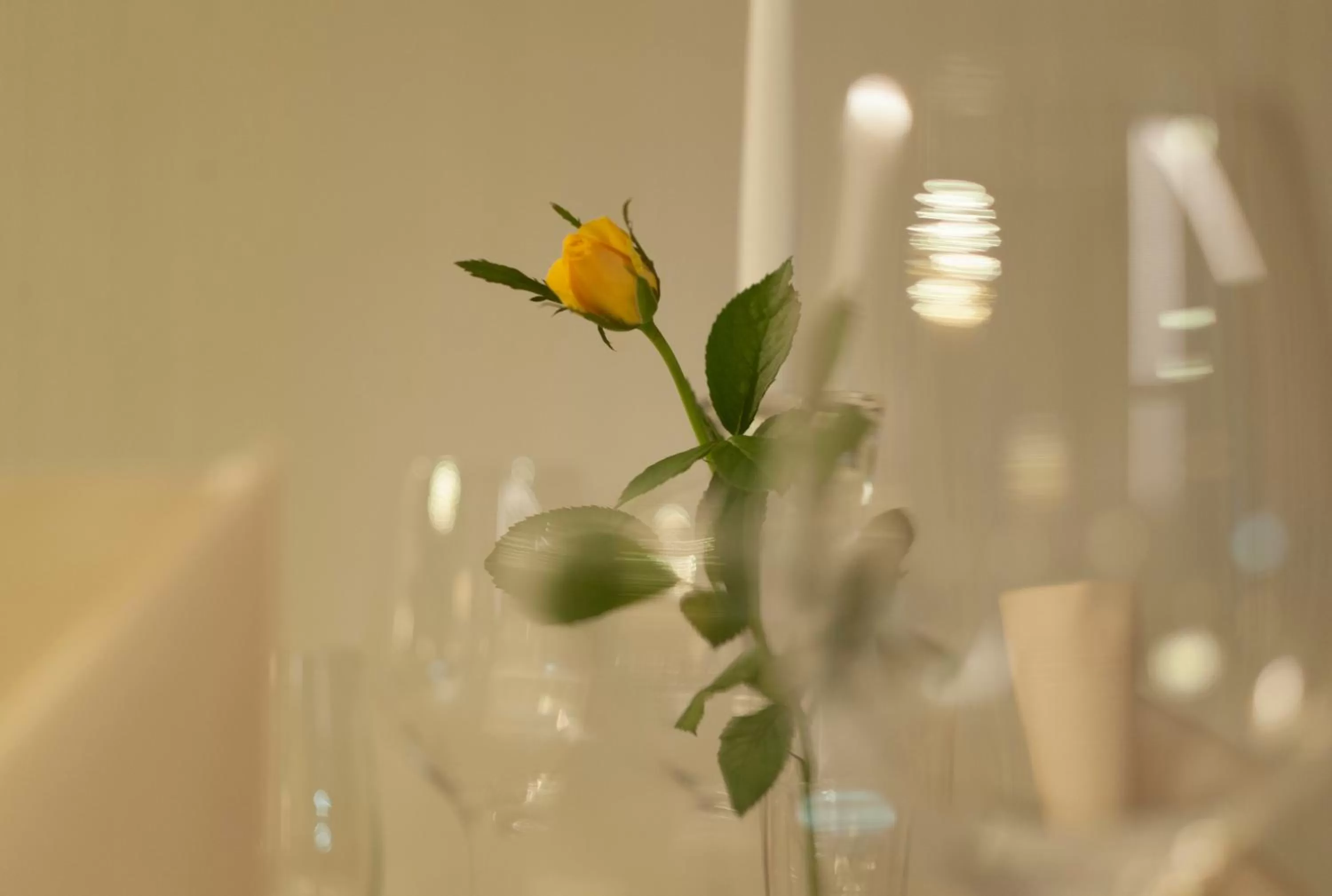 Restaurant/places to eat in WELLNESS HOTEL LÖWE