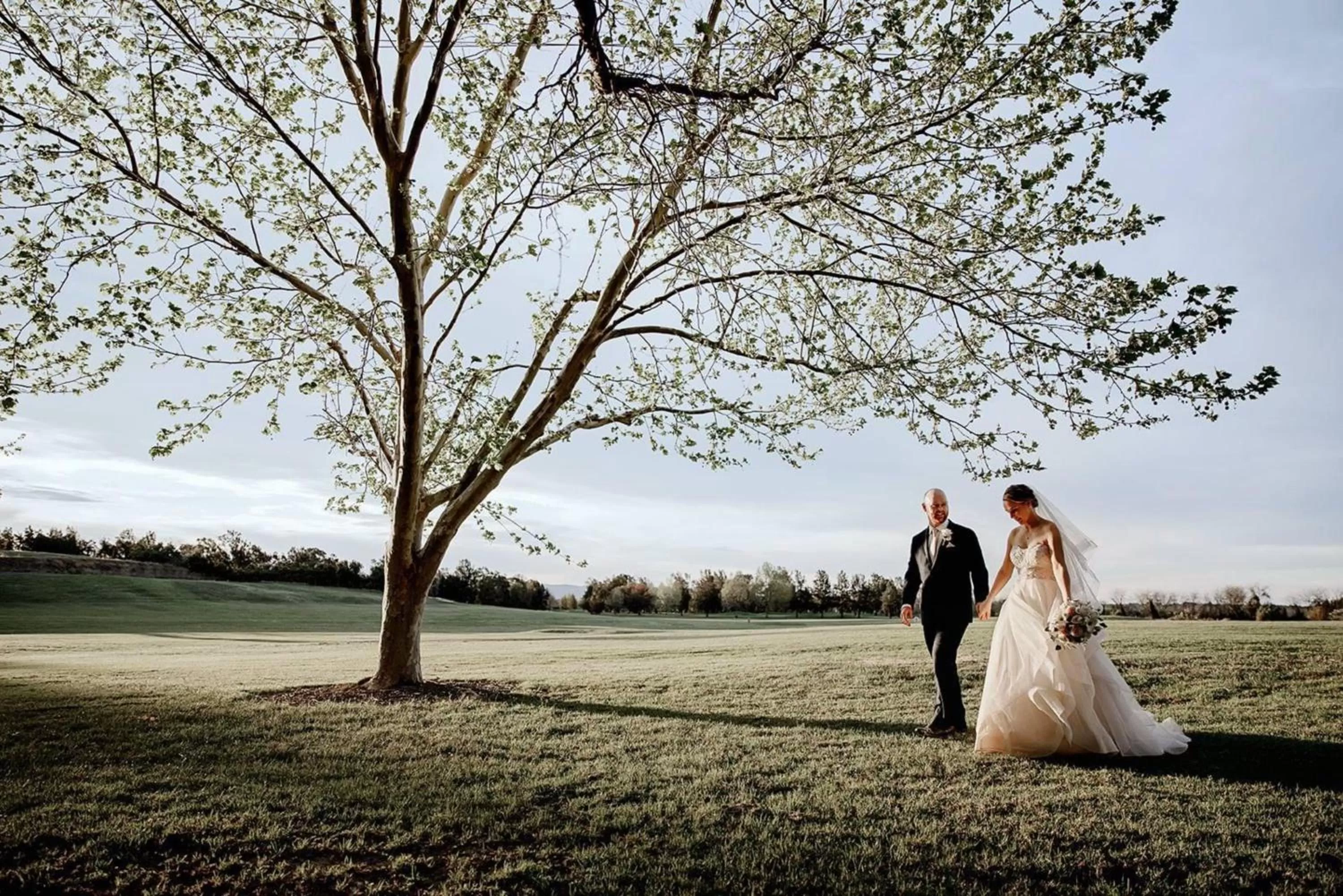 Meeting/conference room in Crowne Plaza Hawkesbury Valley by IHG