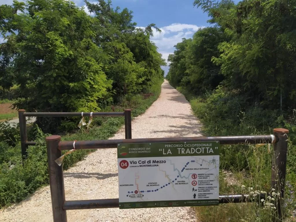 Natural landscape in Villa Fior di Robinia