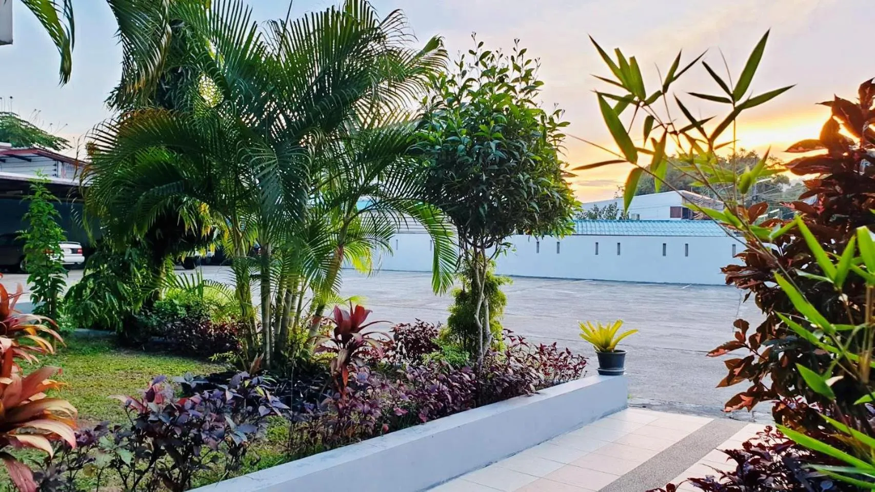 Garden in Siray House