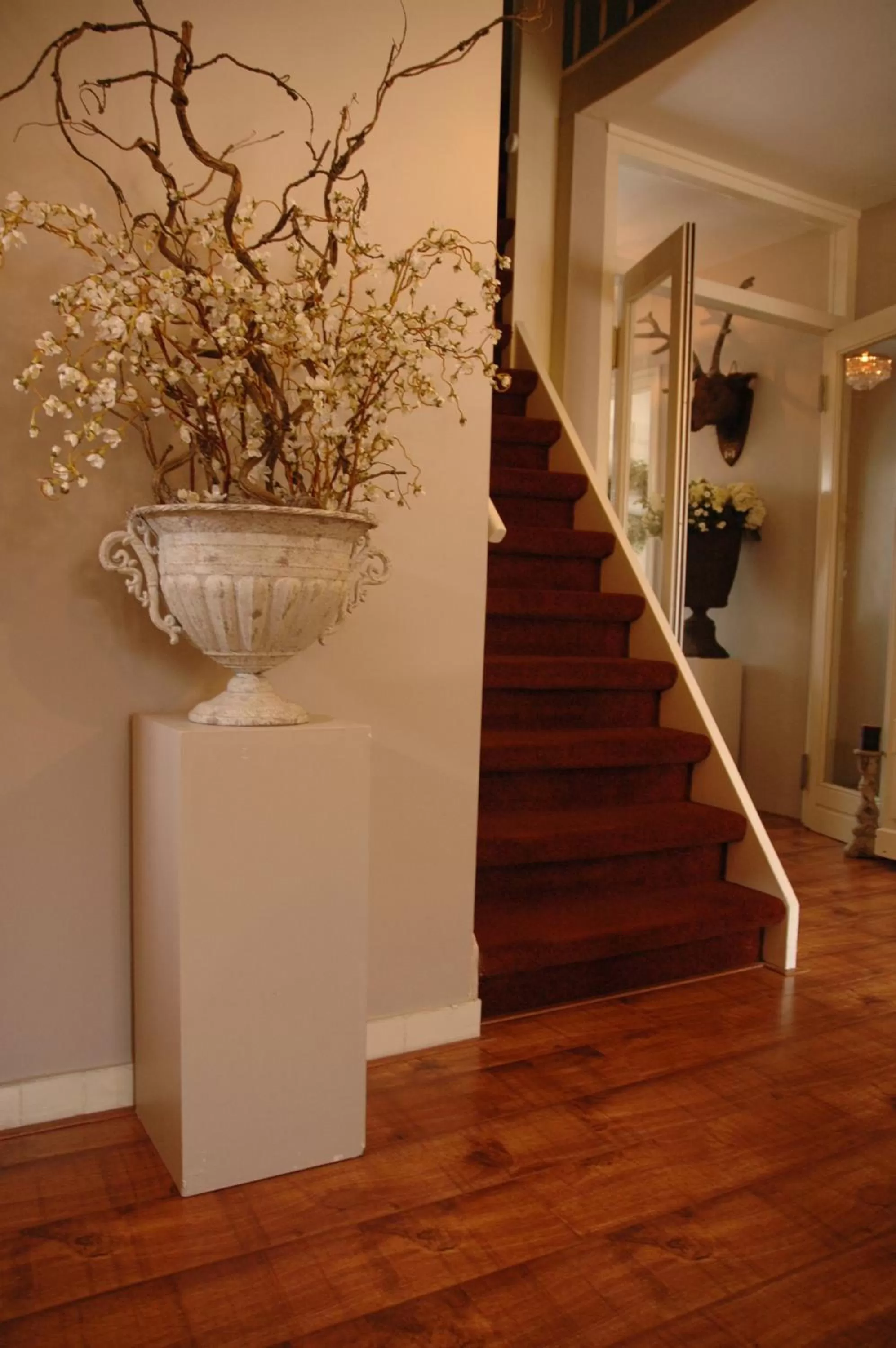 Area and facilities in Het Woonrijk