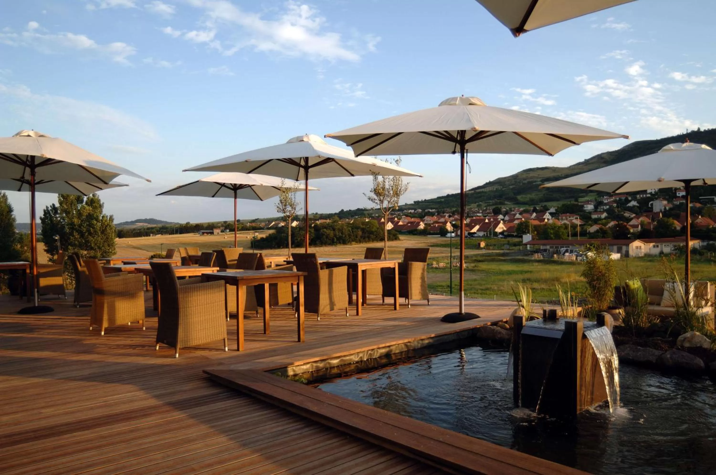 Food and drinks in Best Western Plus Hôtel Gergovie