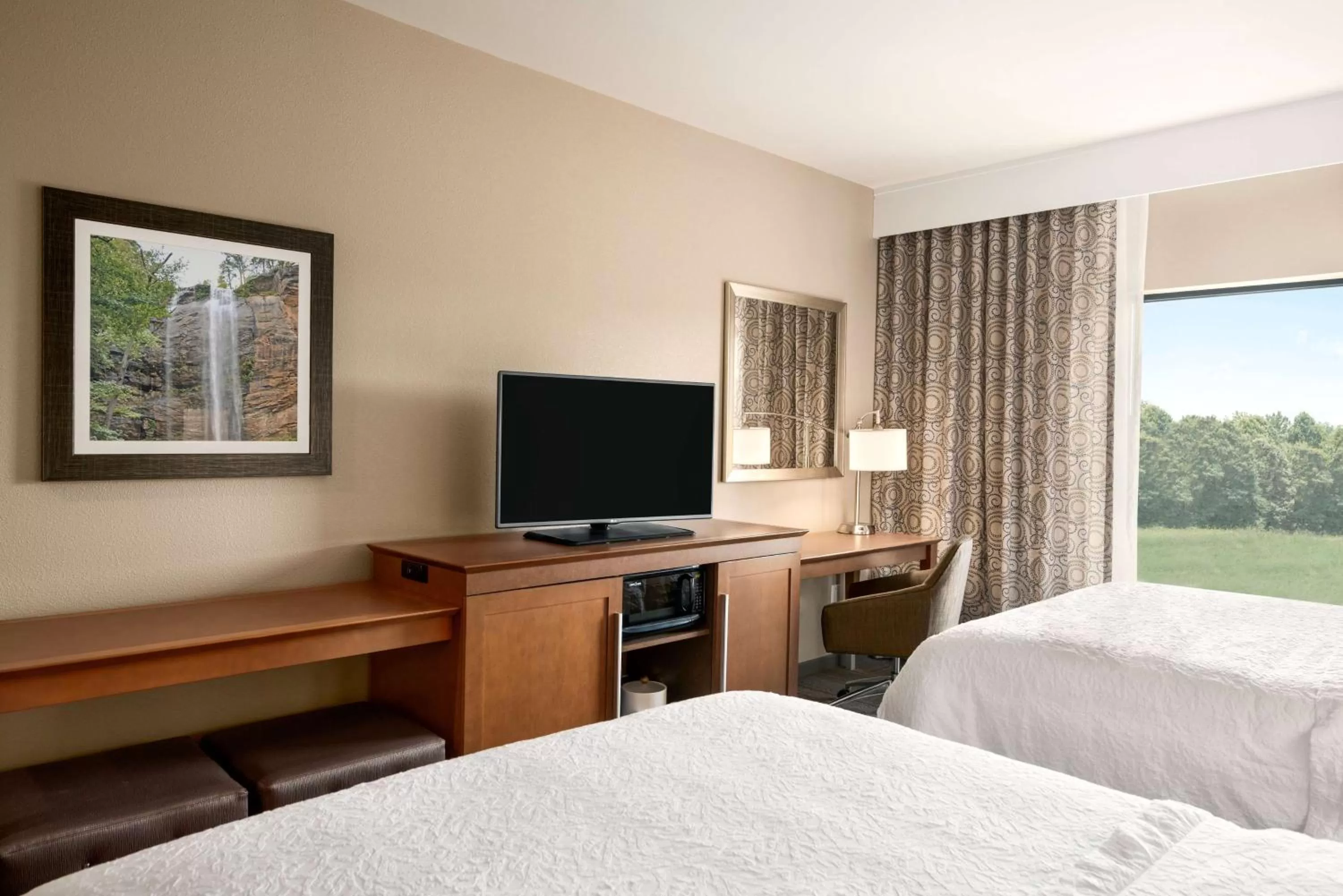 Queen Room with Two Queen Beds  - Disability Access/Non-Smoking and Bath Tub in Hampton Inn & Suites - Lavonia, GA