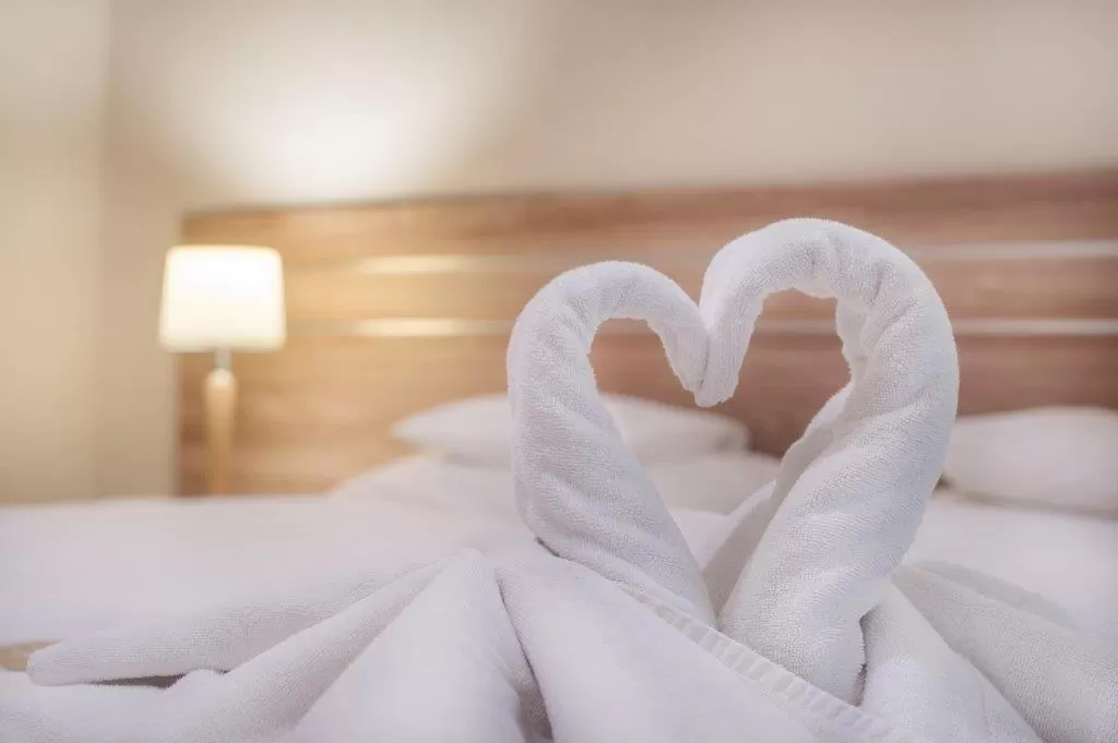 Single Room in Main Building in Hotel Cesarskie Ogrody