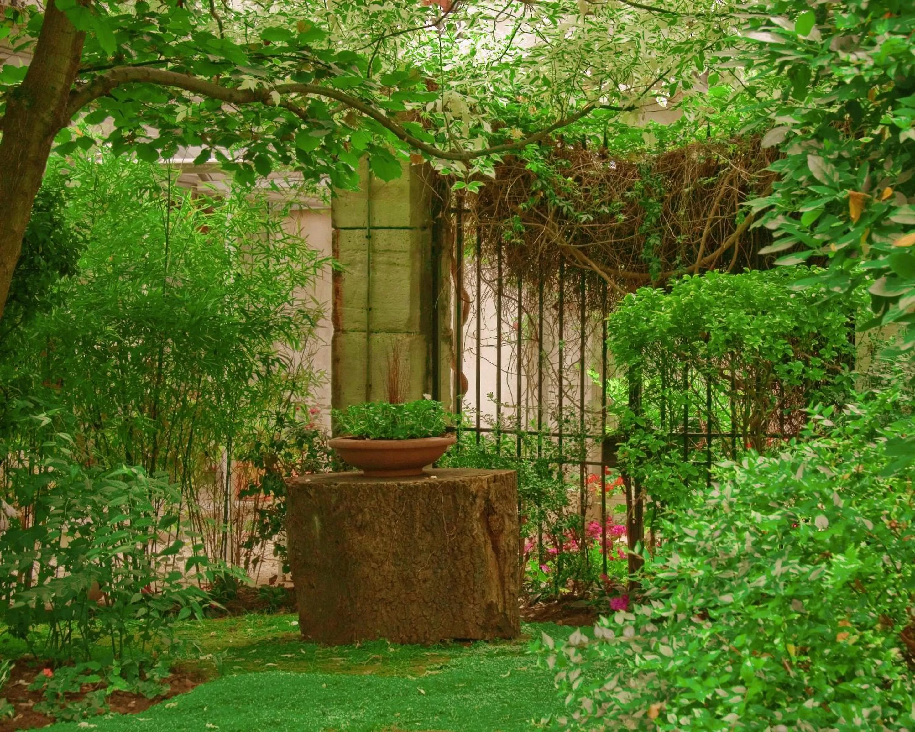 Garden in Abaca Messidor by Happyculture