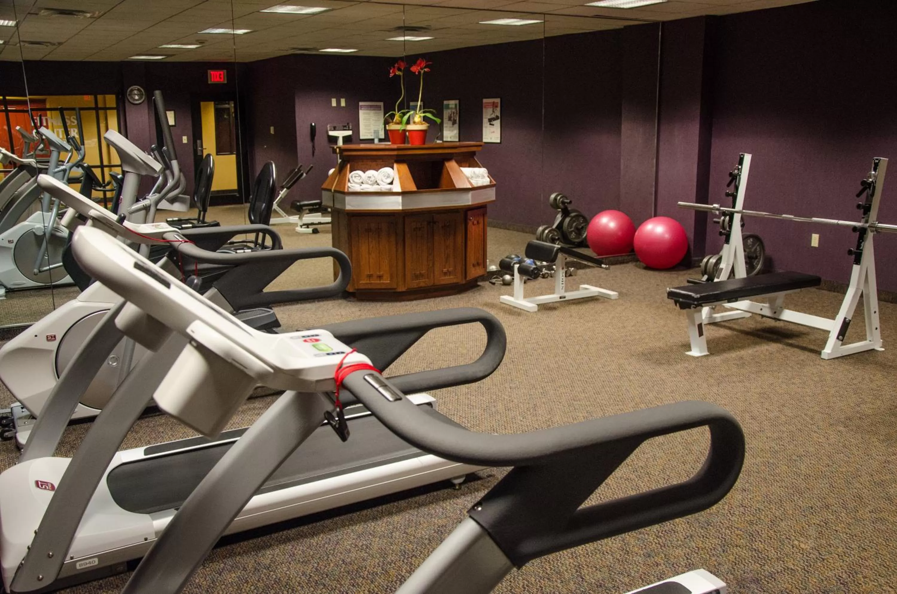 Fitness centre/facilities in Holiday Inn Hotel Pewaukee-Milwaukee West by IHG