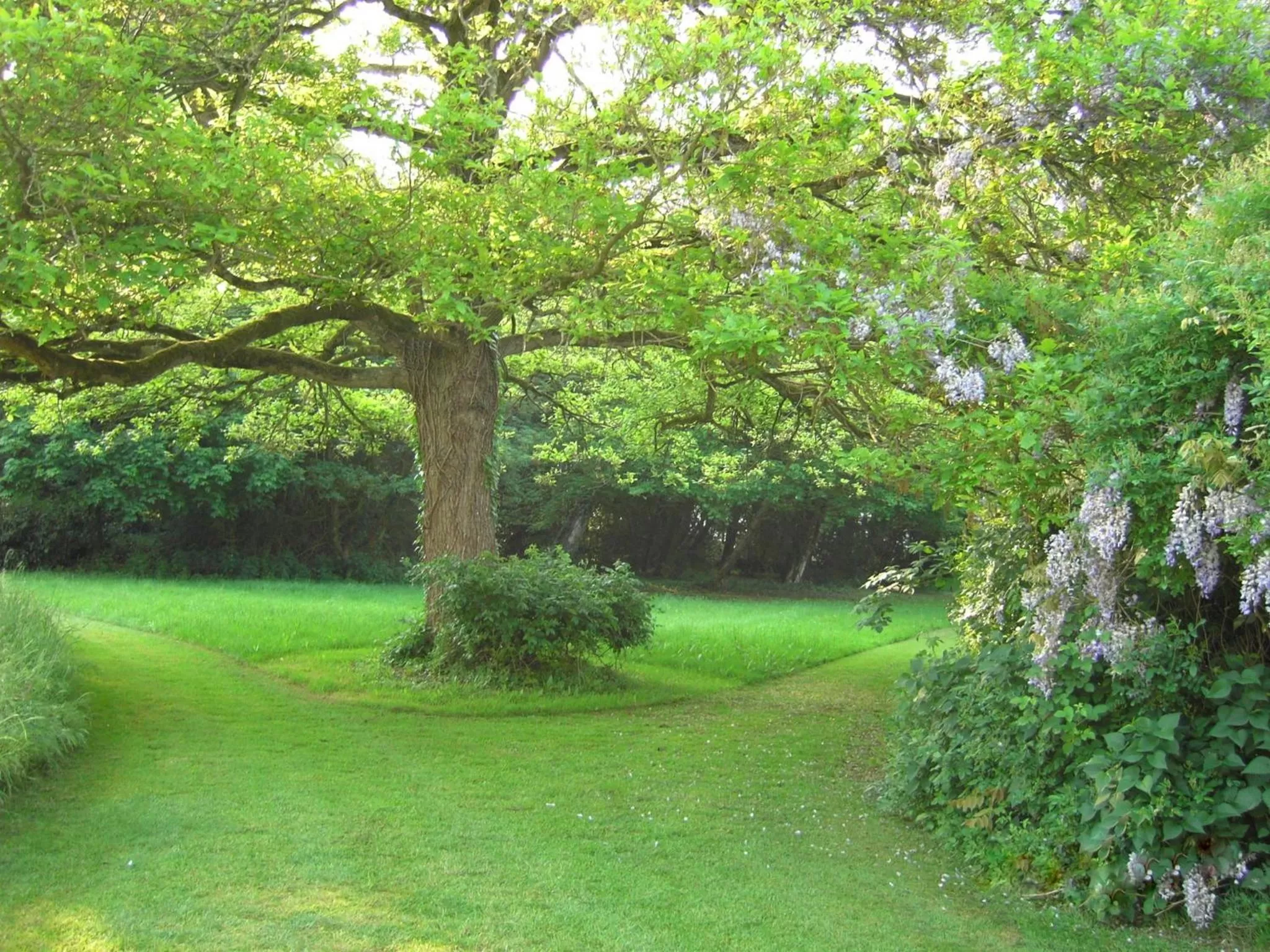 Garden in Château du Golf de la Freslonnière