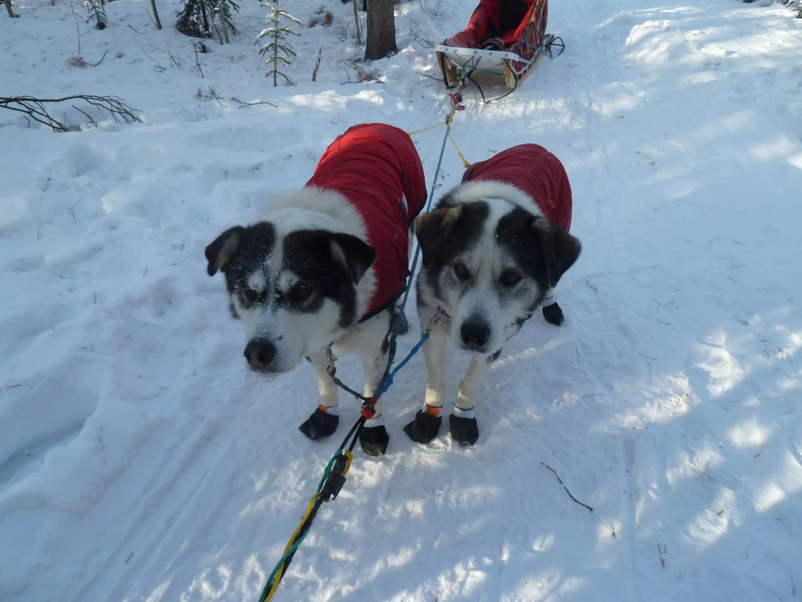 Other in Hidden Valley Bed and Breakfast