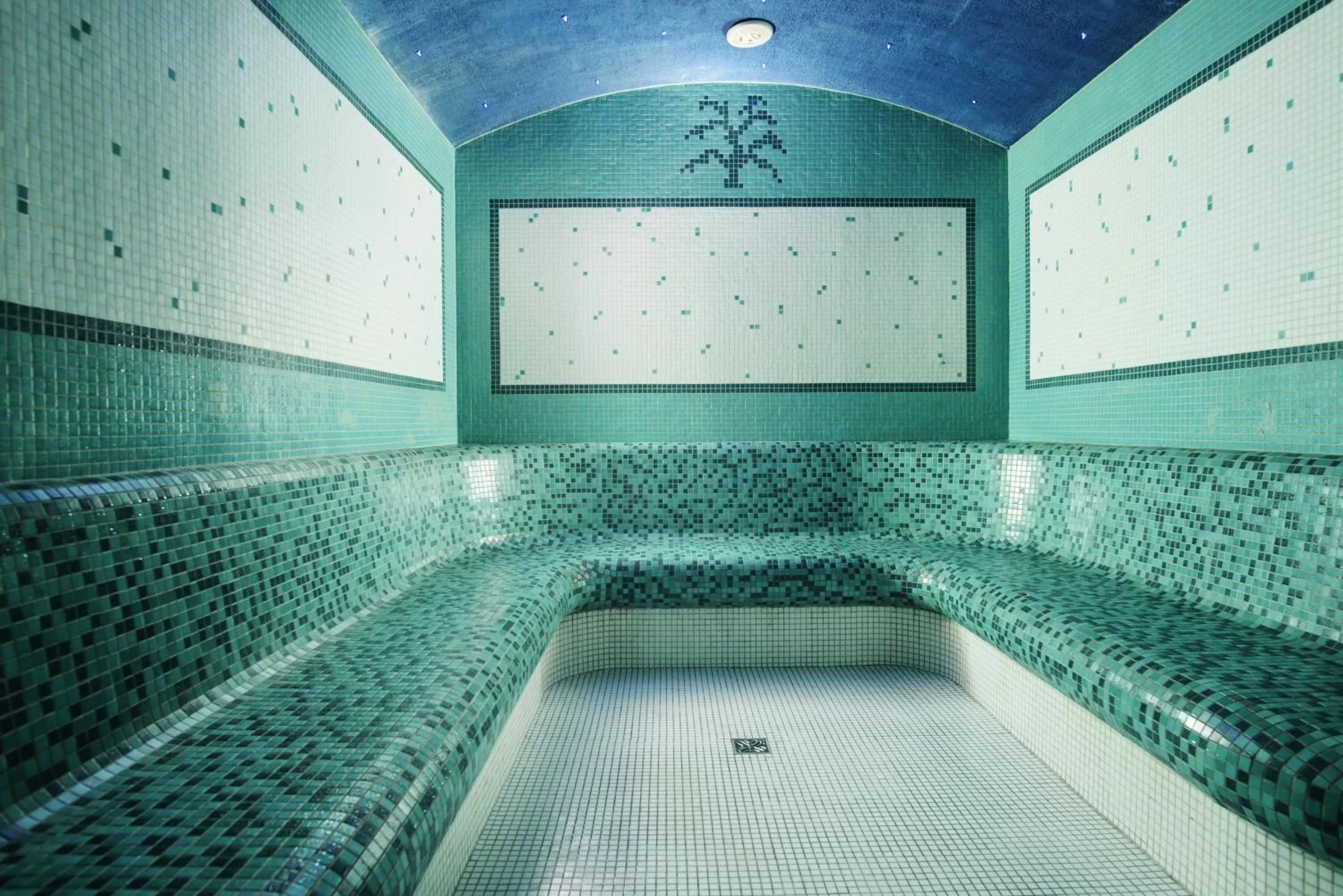 Sauna, Swimming Pool in Lila Medical SPA