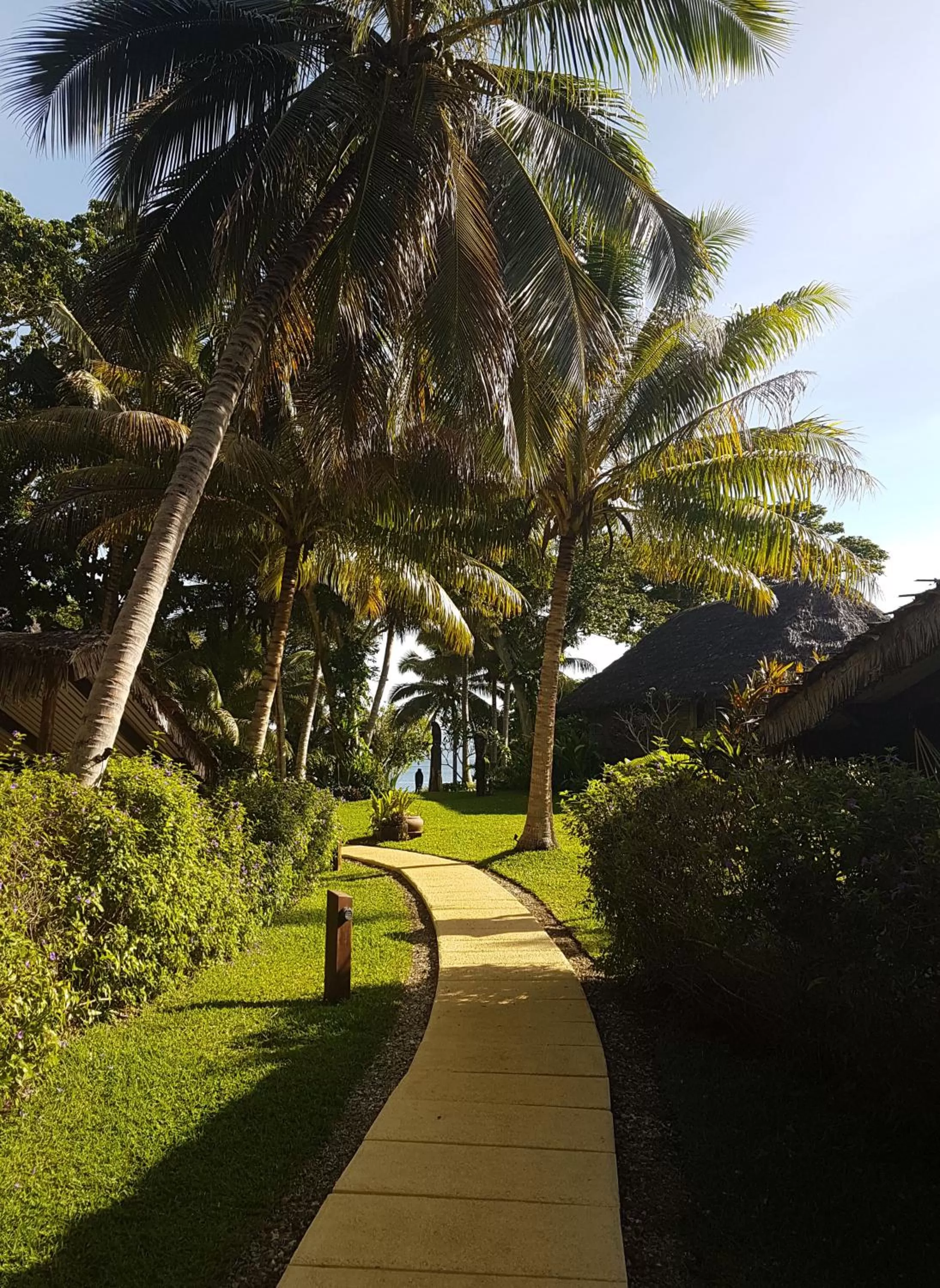 Garden in Paradise Cove Resort