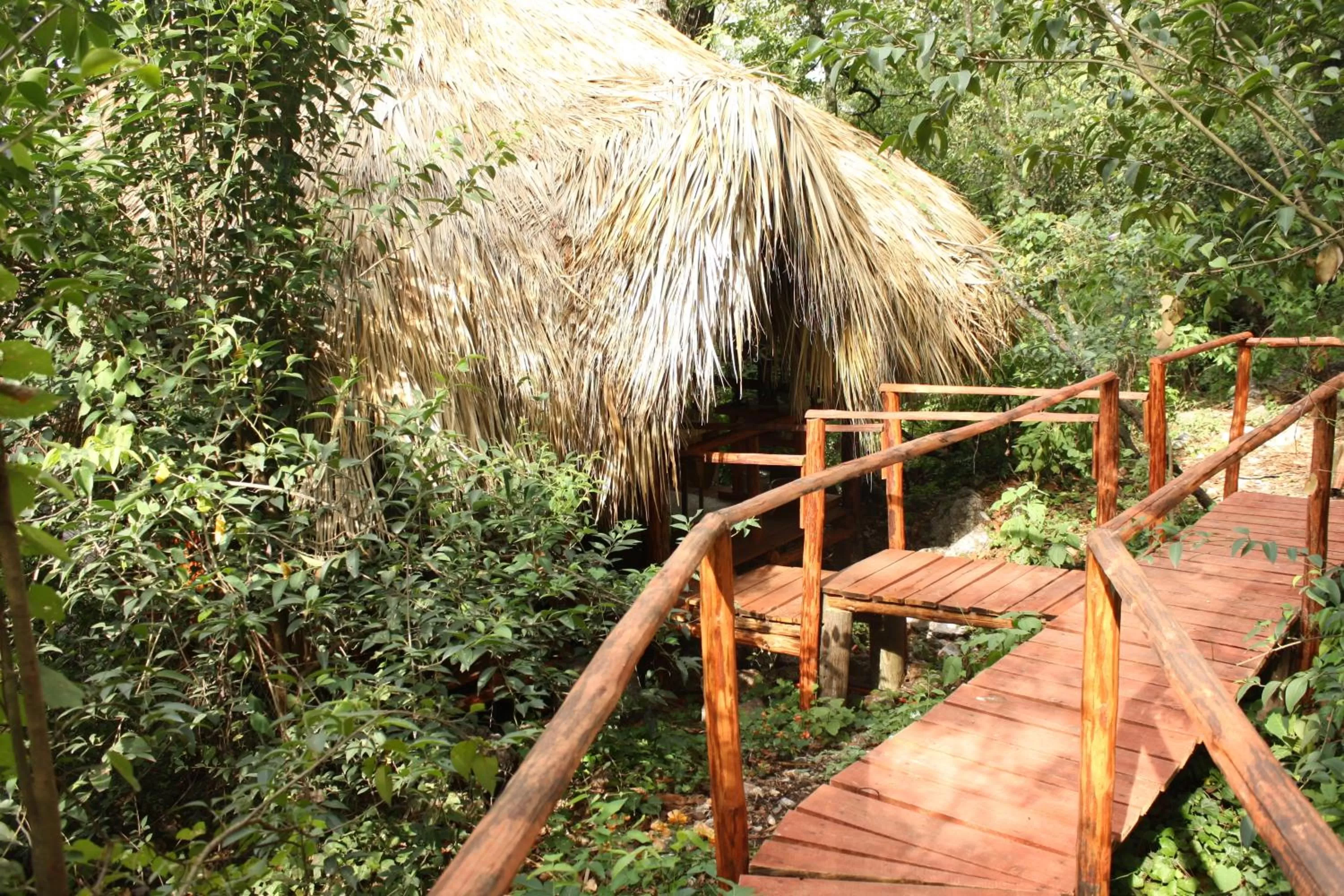 Garden view in Hotel Chipinque