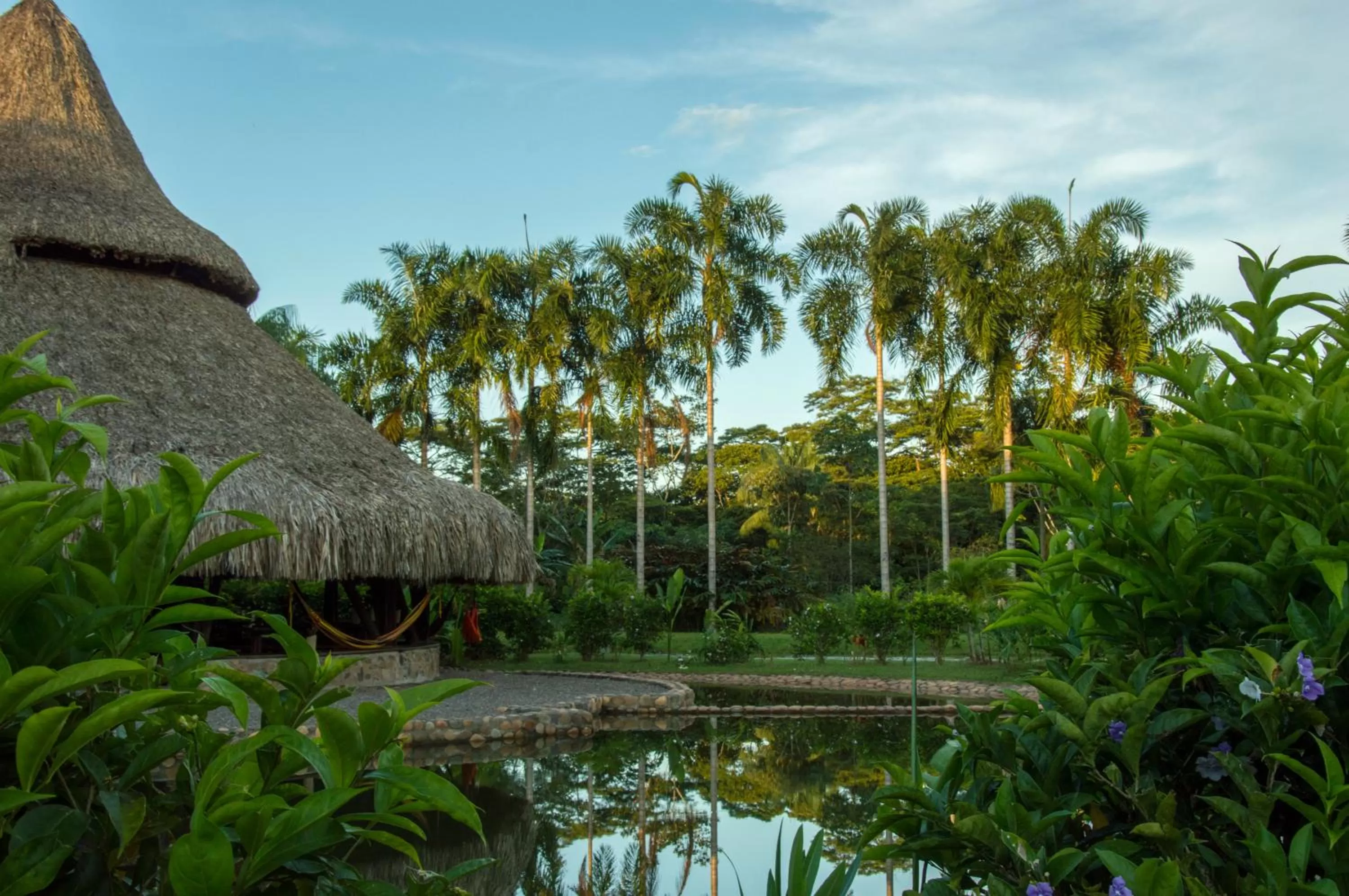 Swimming Pool in Ecolodge Cosmogénesis