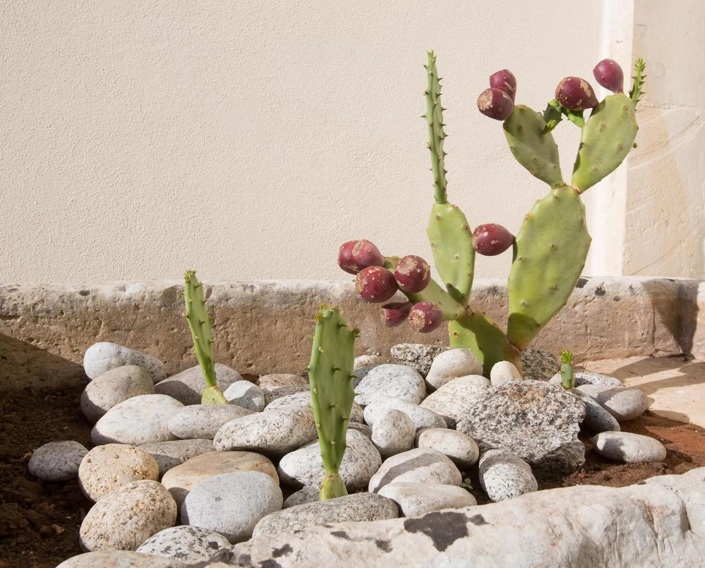 Other in Casina dei Nonni