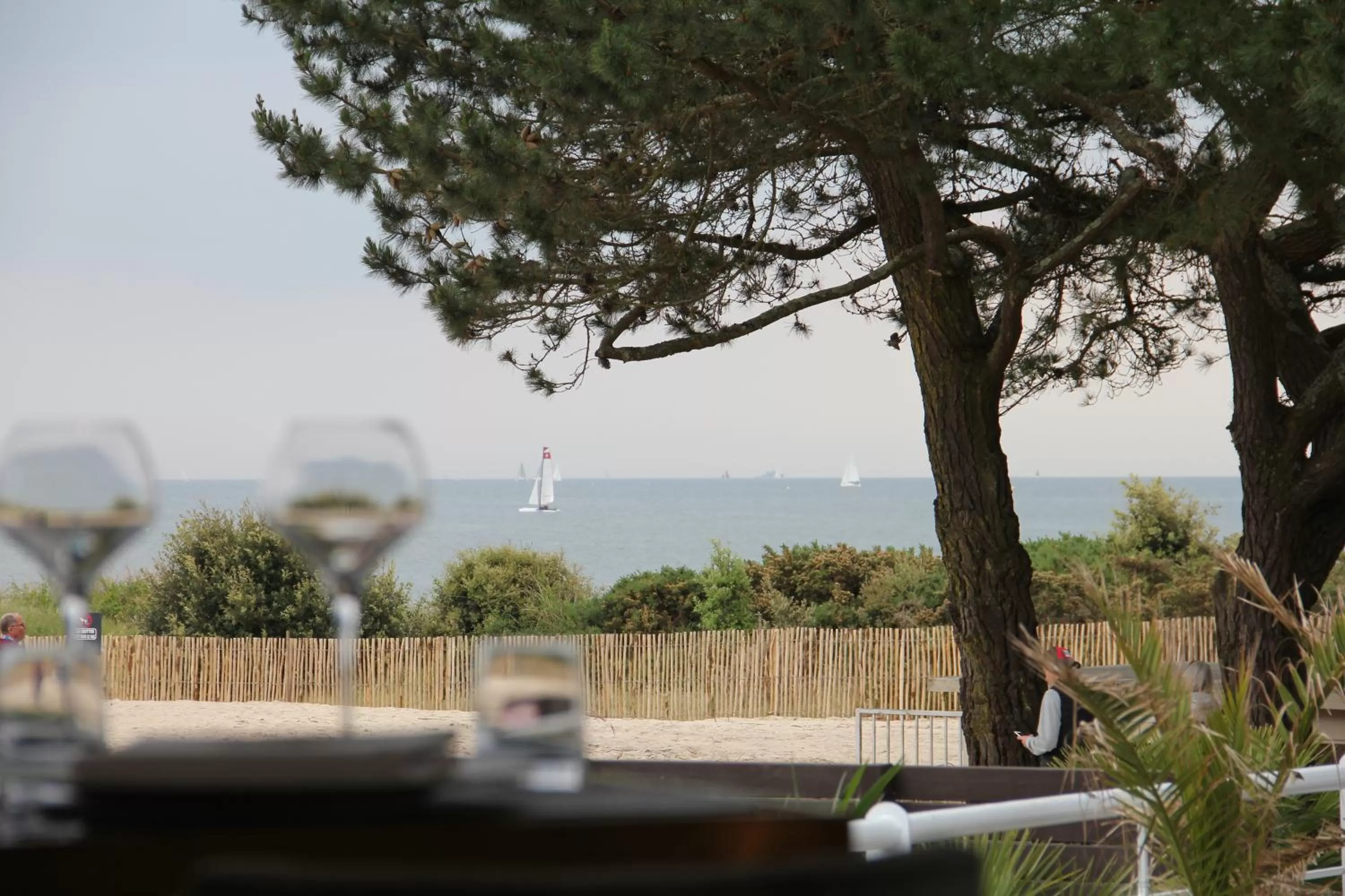 Restaurant/places to eat in Le Diana Hôtel & Spa