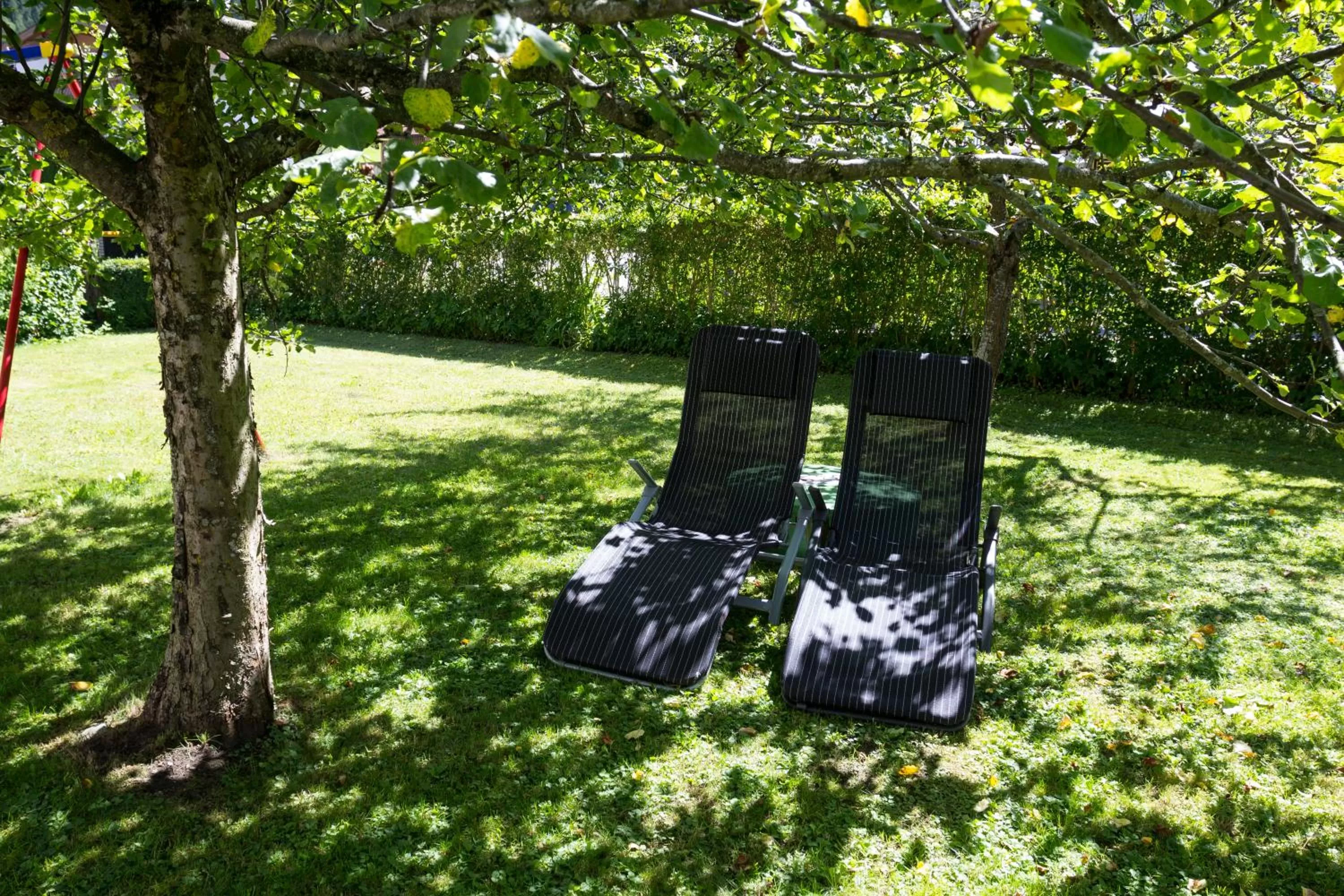 Garden in Seehüter's Hotel Seerose