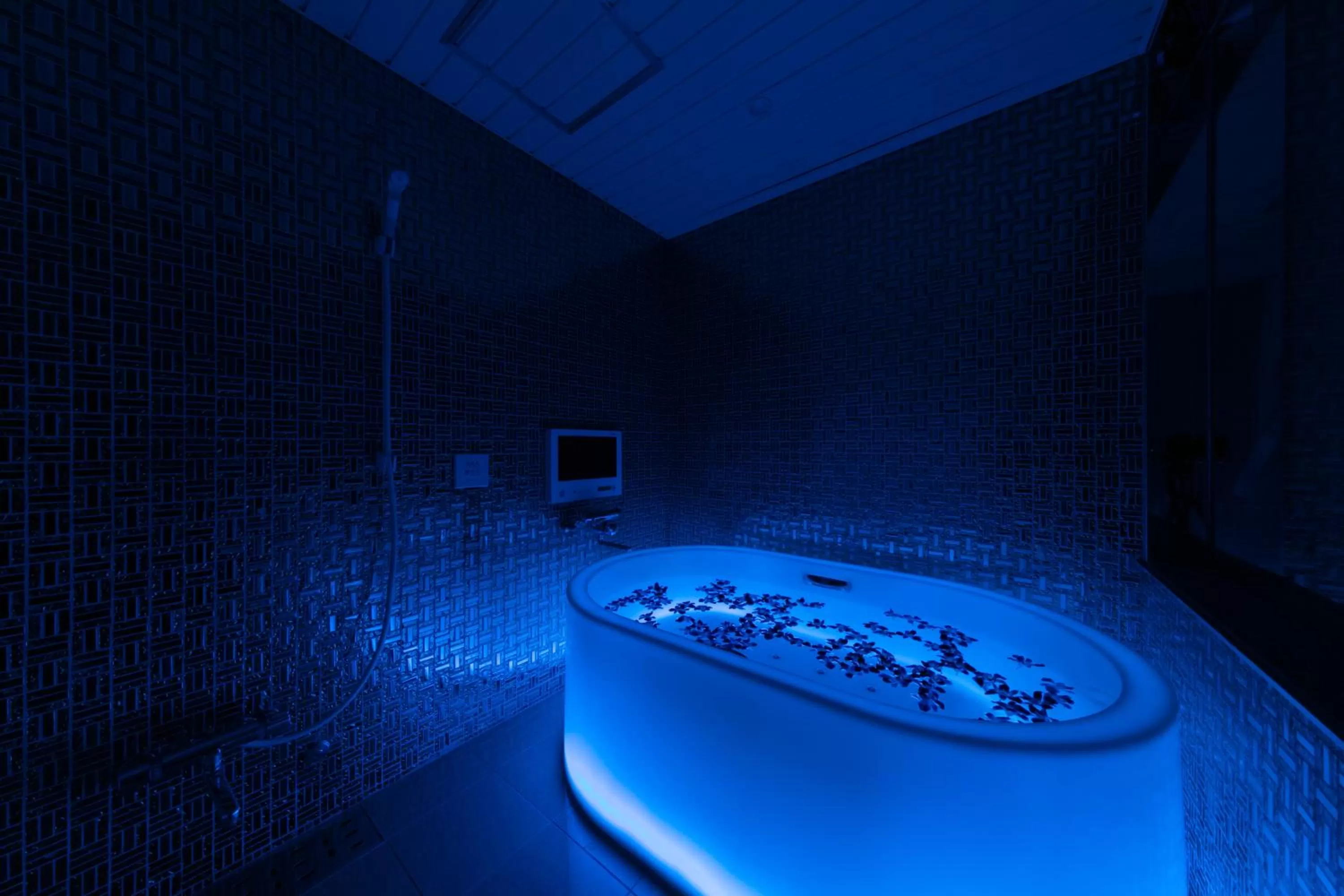 Hotel Eldia Luxury Kobe (Adult Only)