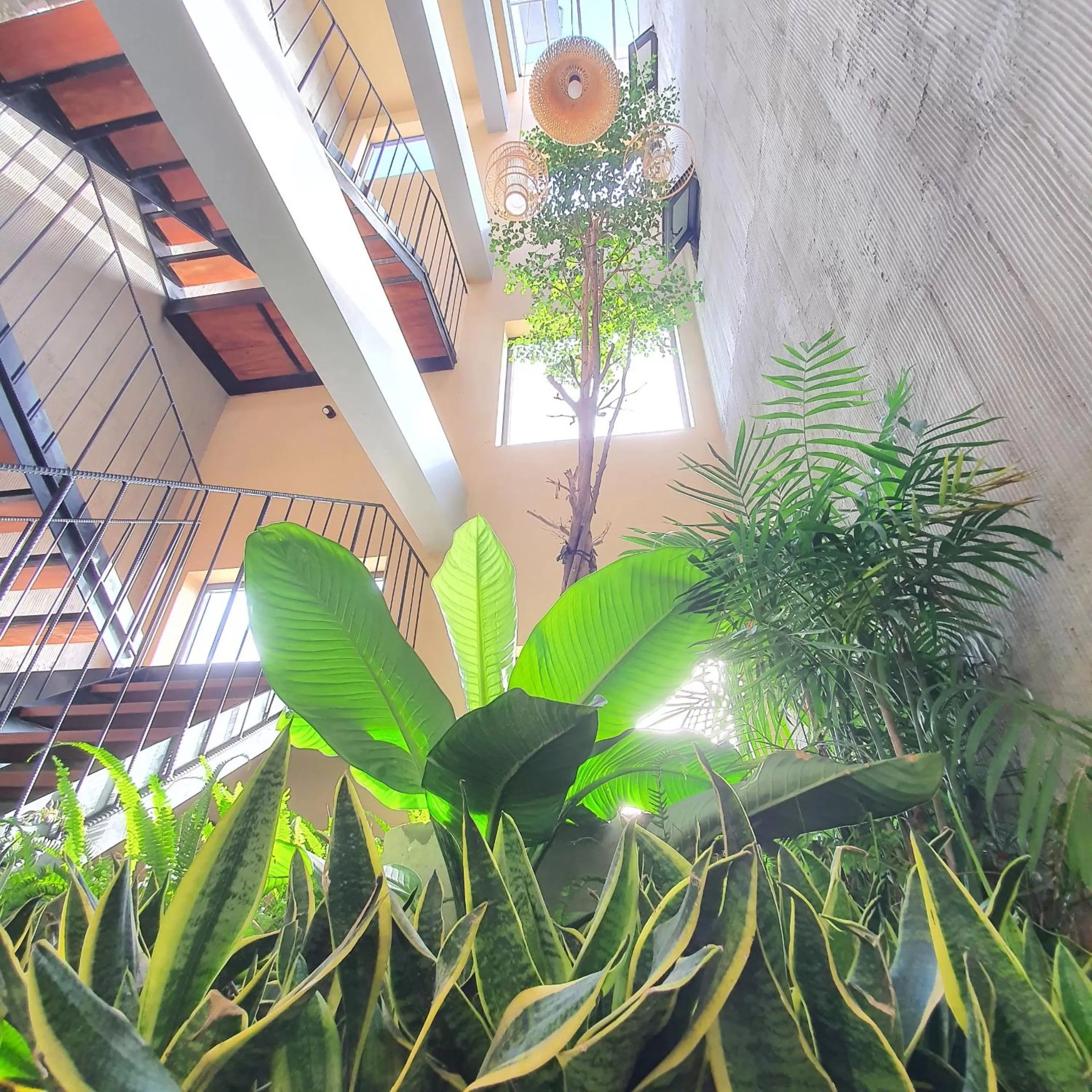 Garden in Cagina Boutique Hostel