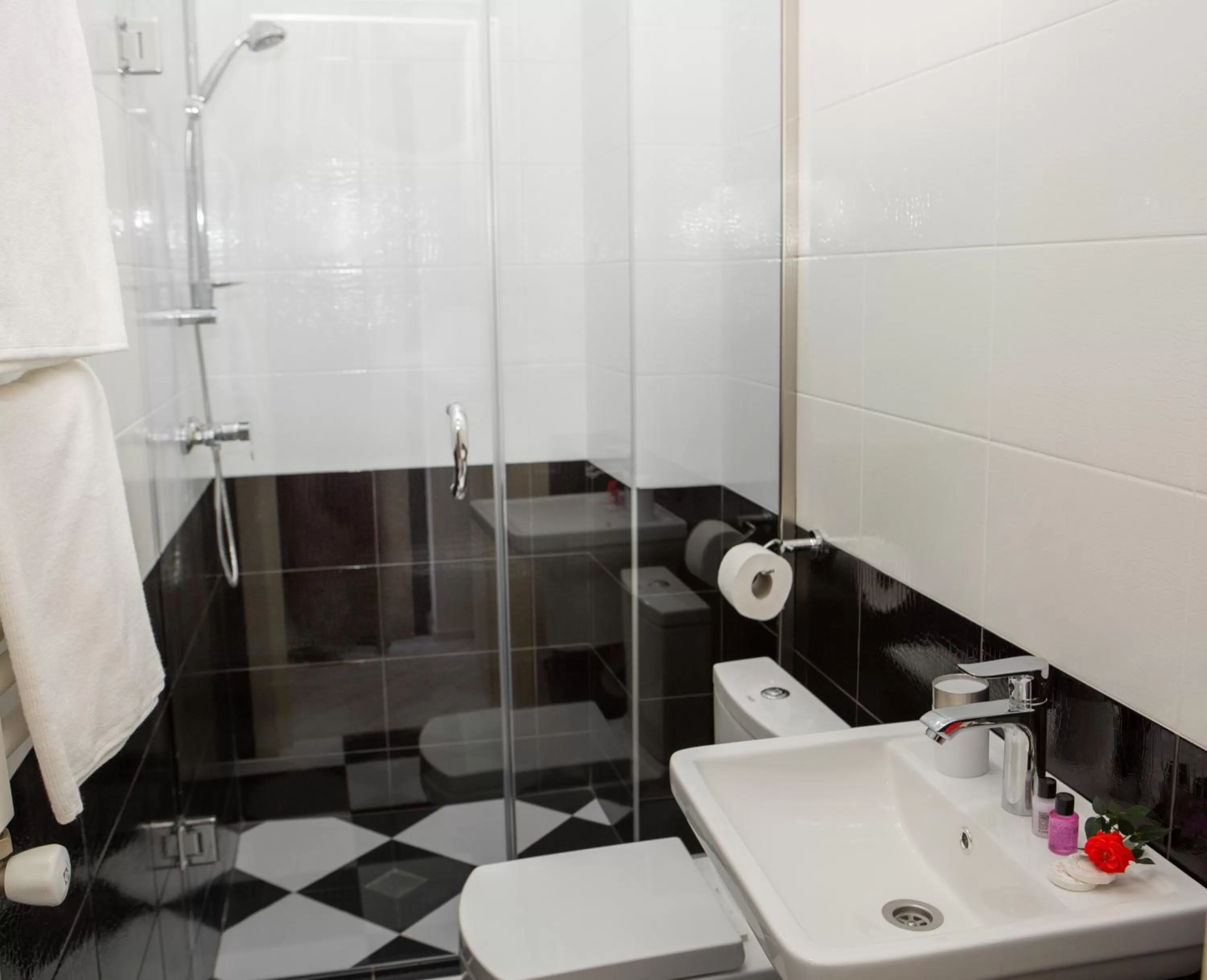 Toilet, Bathroom in Boutique Hotel