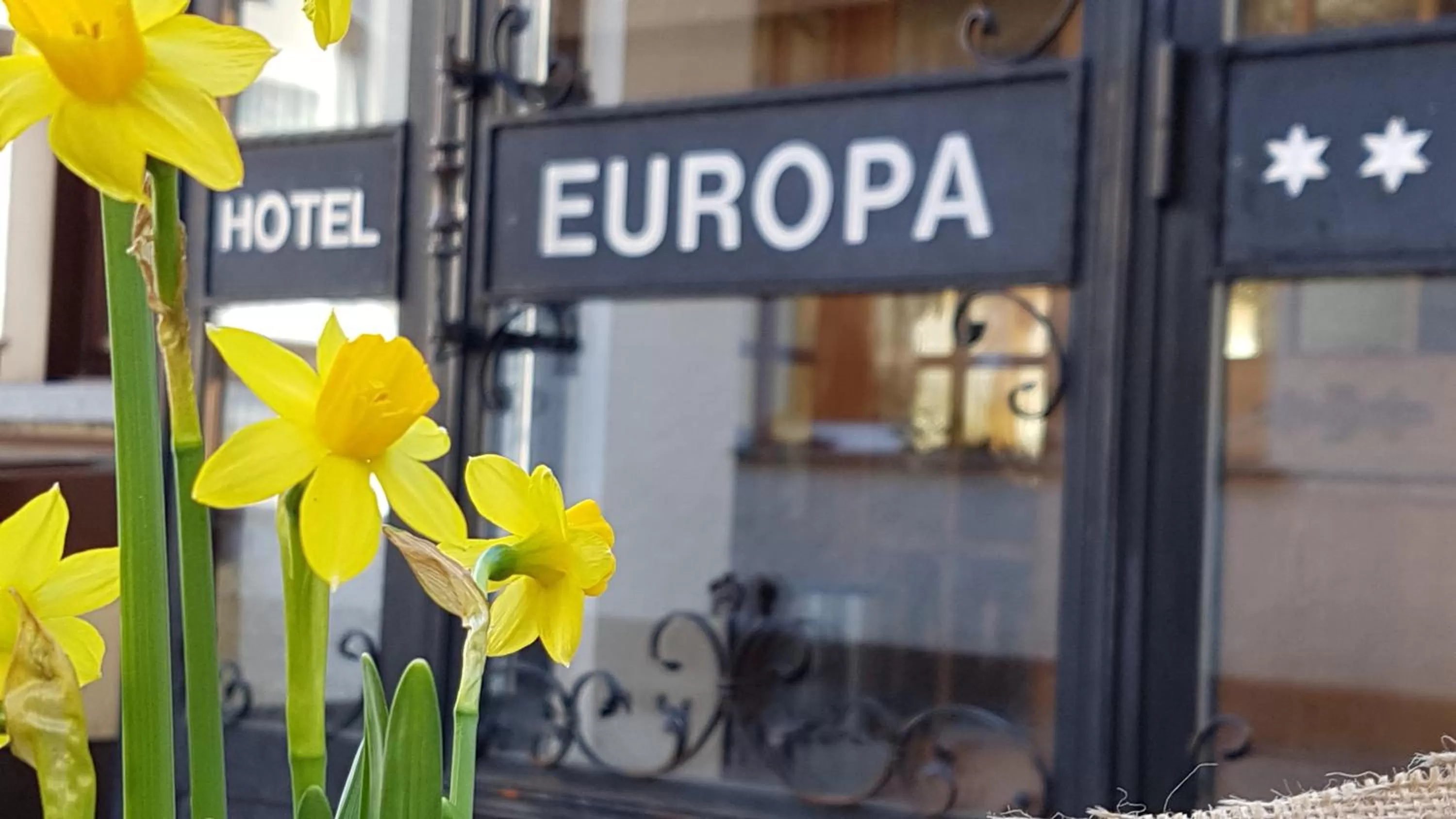 Facade/entrance in Hotel Europa