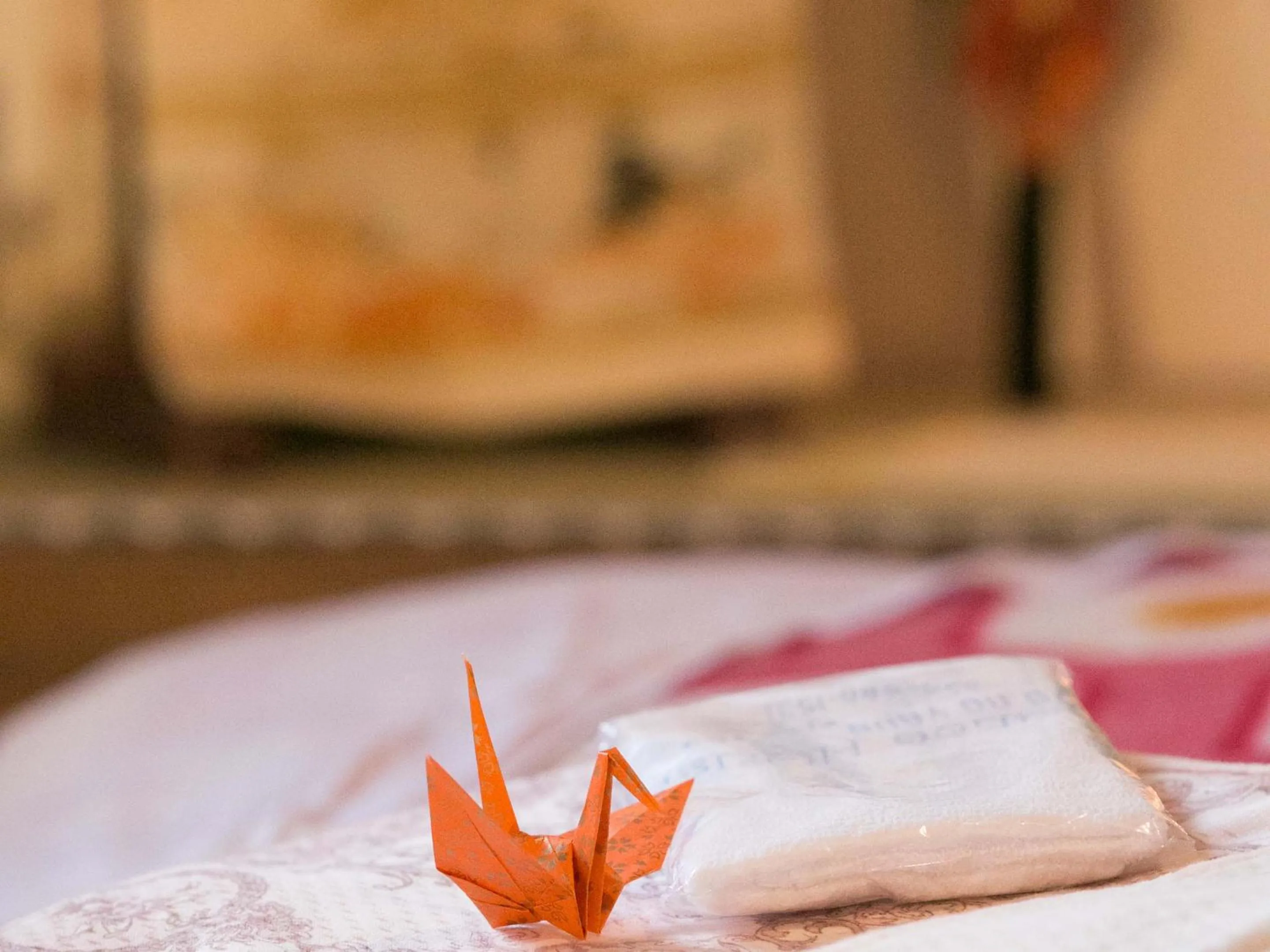 Photo of the whole room, Bed in Guesthouse HANA Nishijin