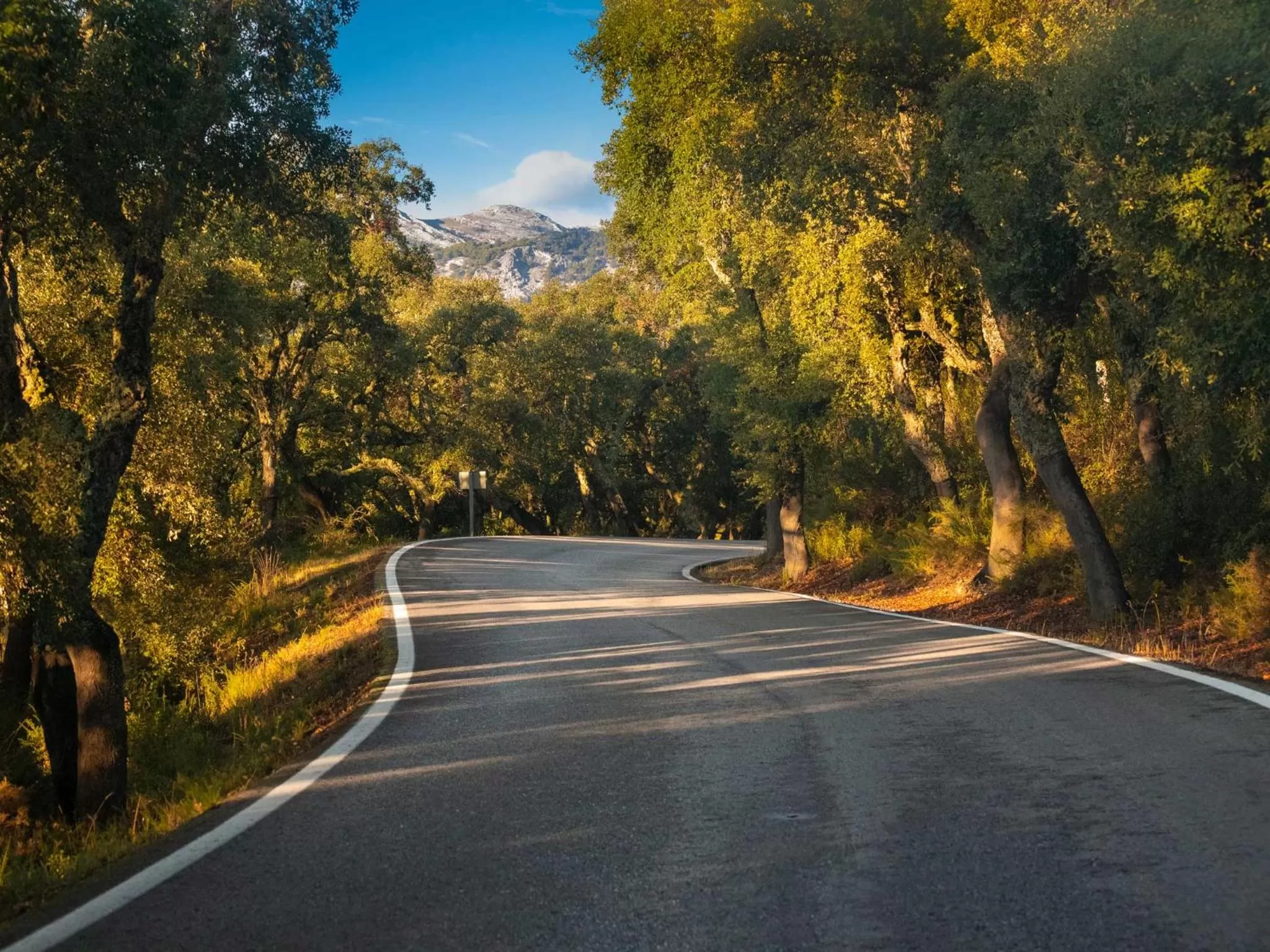 Area and facilities in Hotel Fuerte Grazalema