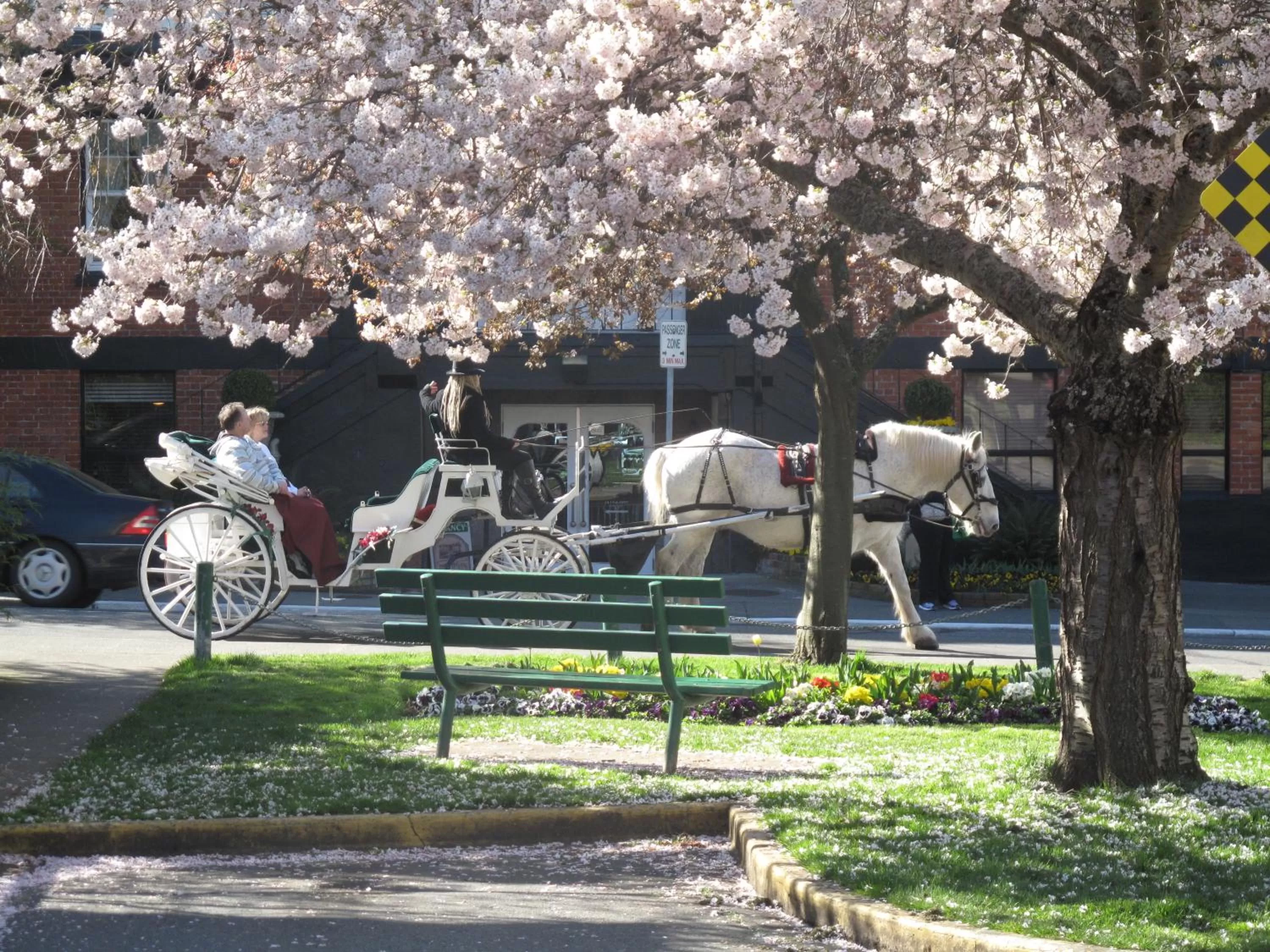 Facade/entrance in James Bay Inn Hotel, Suites & Cottage
