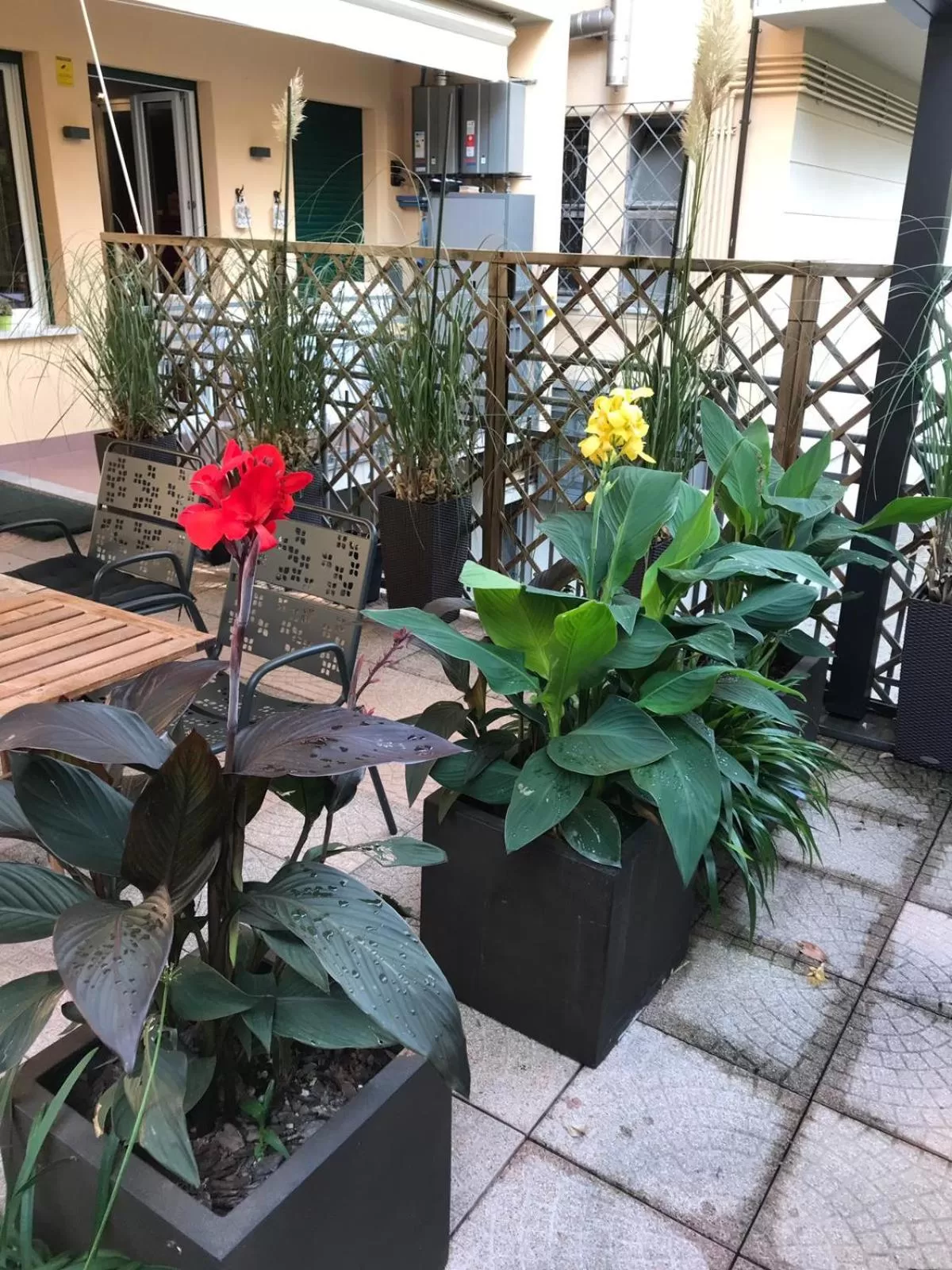 Patio in Smart-House Rent-Rooms FREE PARKING