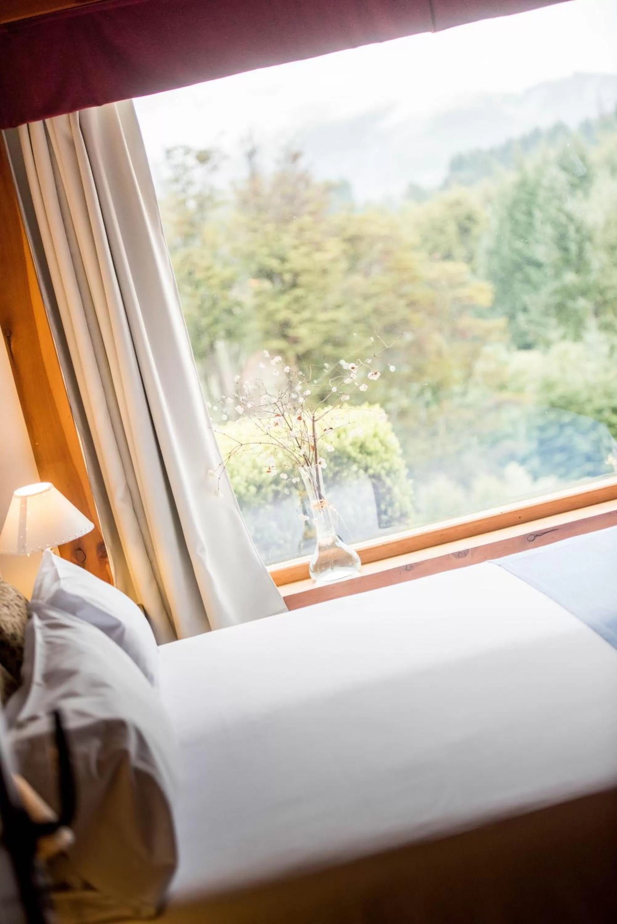 Decorative detail in Amigos del Bosque