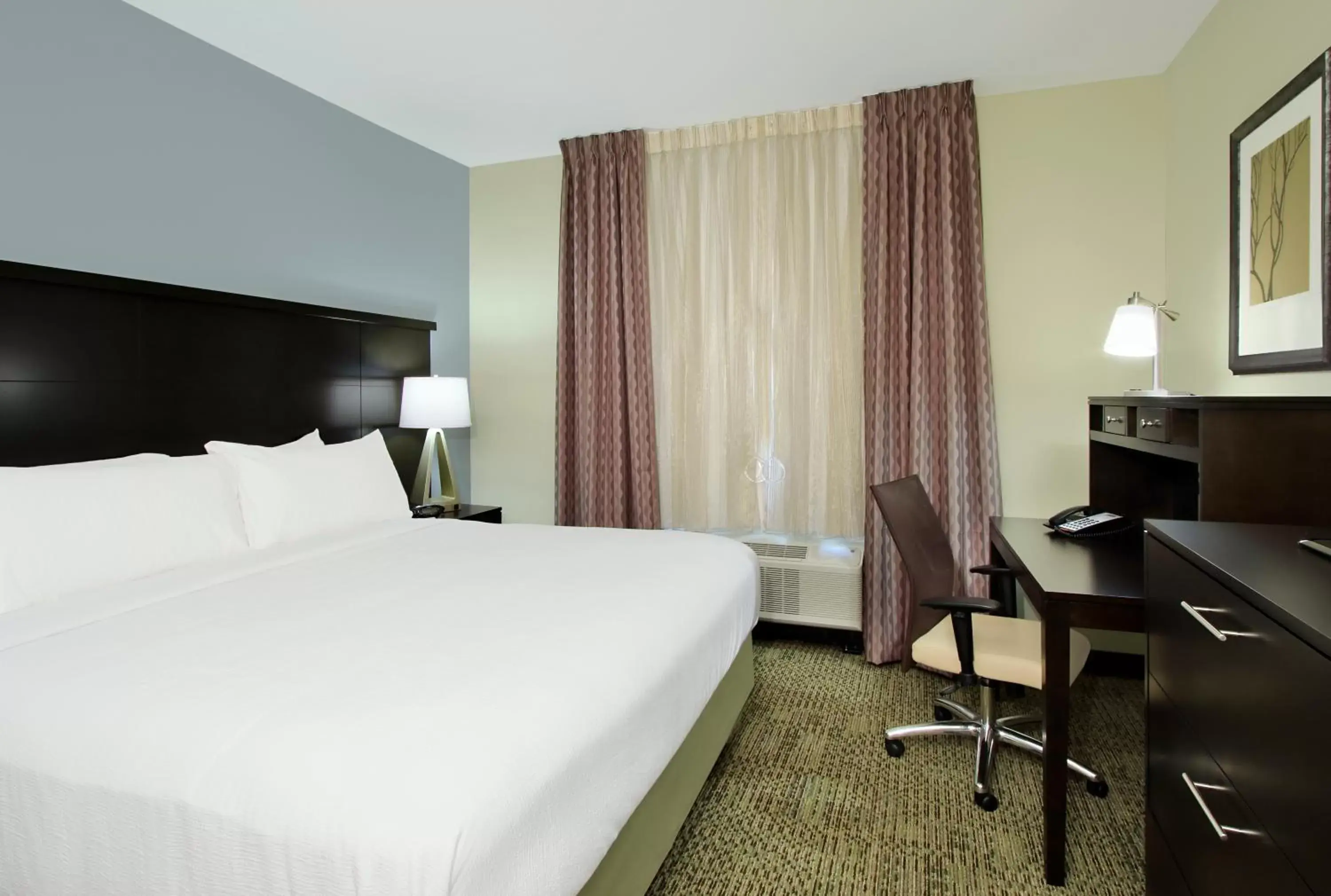 Queen Studio Suite - Hearing Accesible/ Non-Smoking in Staybridge Suites - Houston - Medical Center, an IHG Hotel Queen Studio Suite - Hearing Accesible/ Non-Smoking in Staybridge Suites - Houston - Medical Center, an IHG Hotel