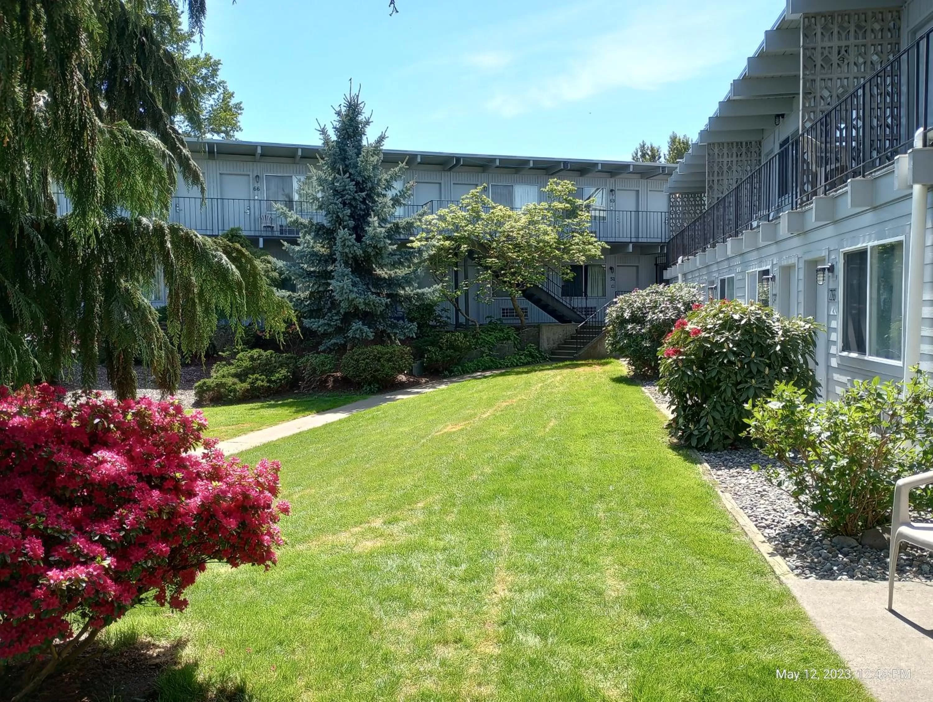 Natural landscape in Cocusa Motel