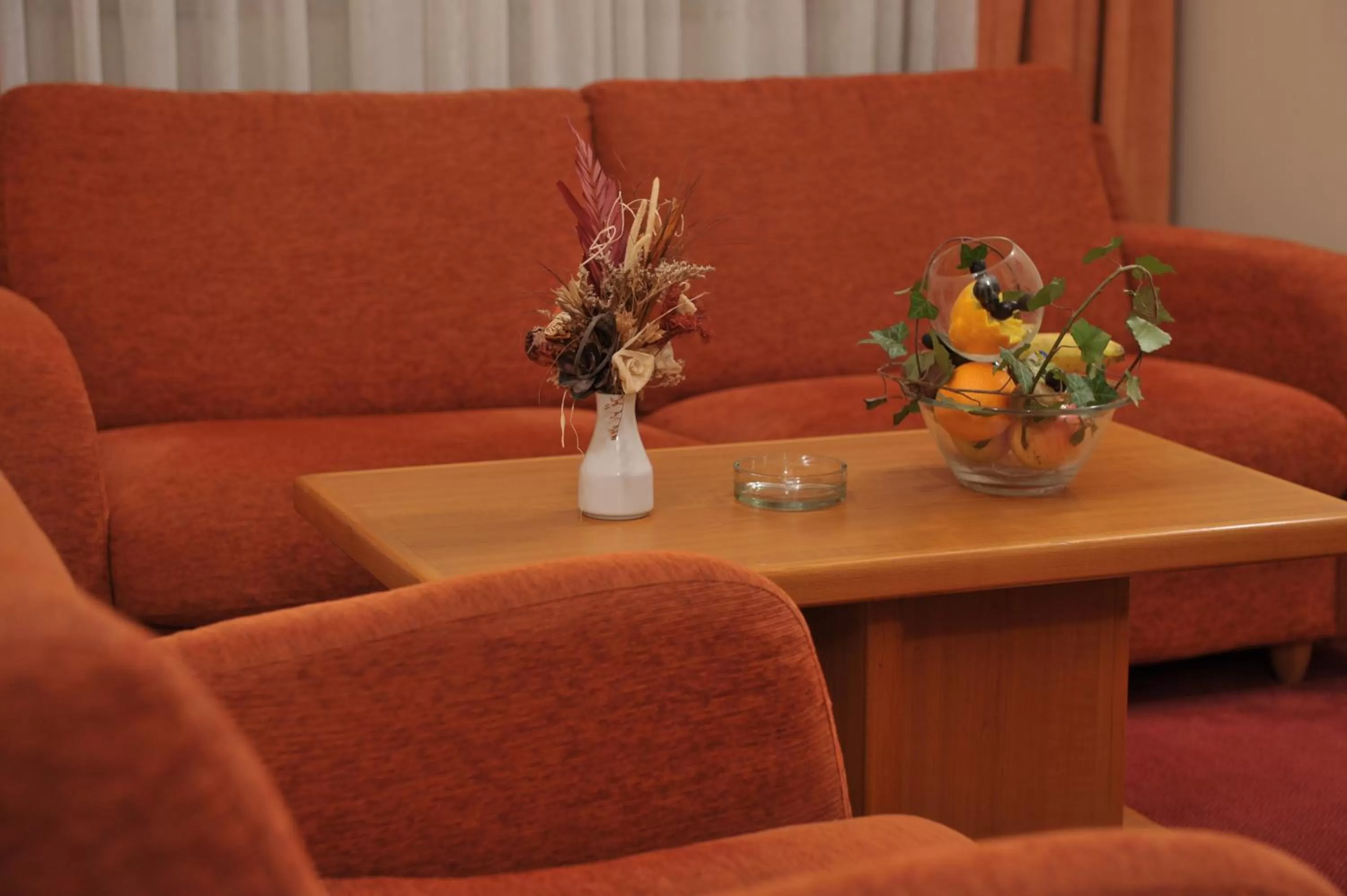 Living room in Hotel Fontana