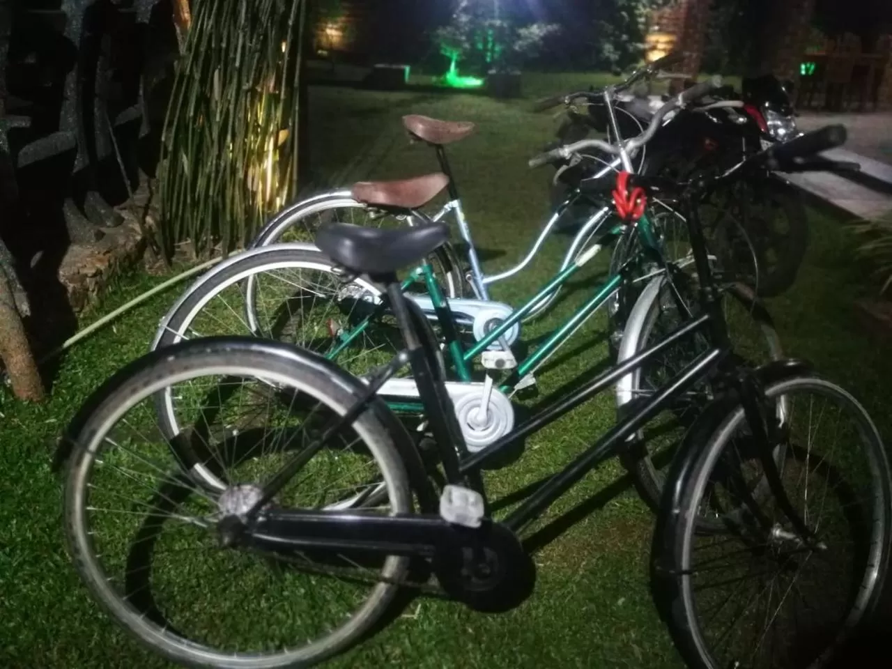 Biking in Green Cottage