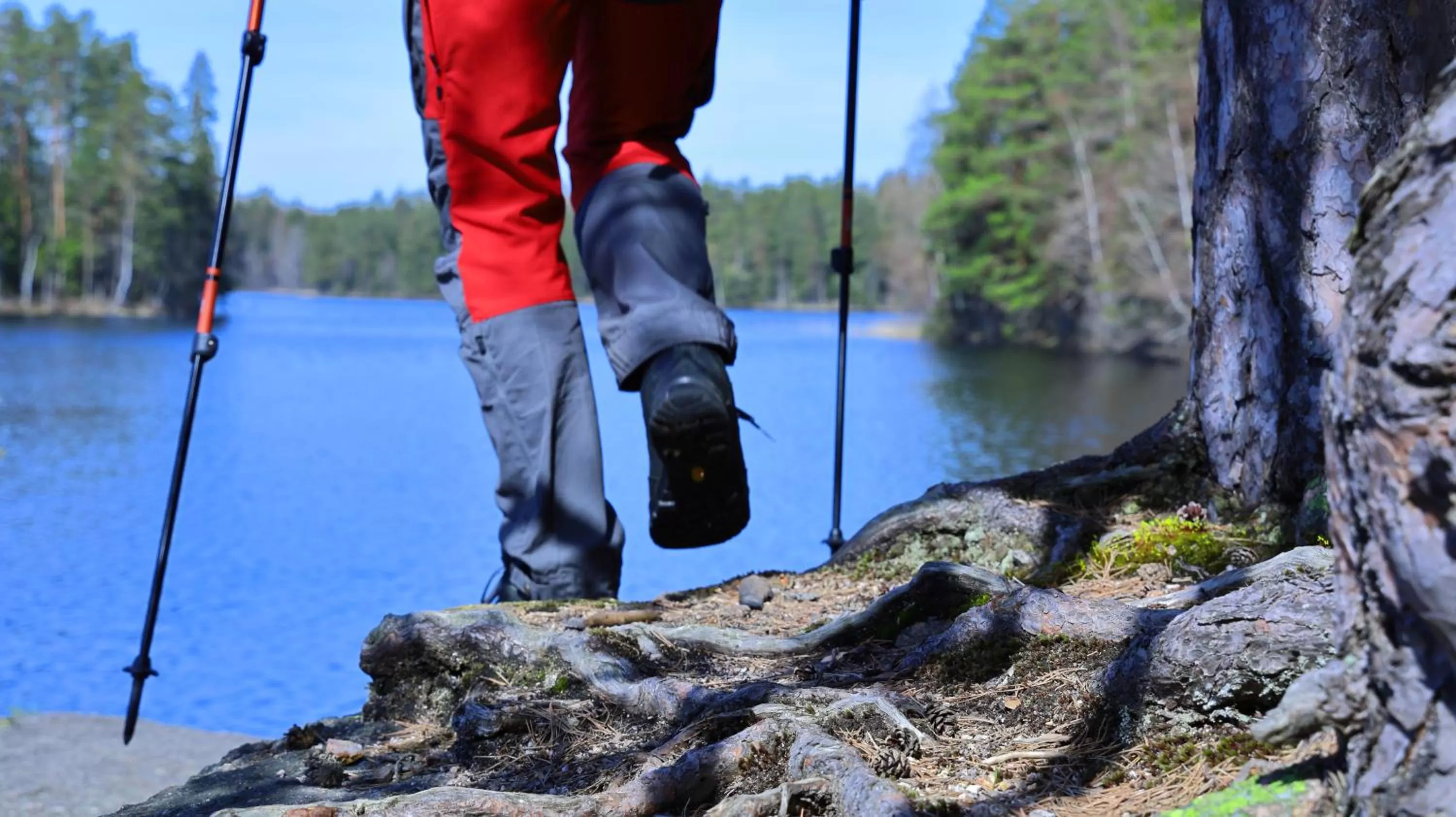 Activities in Haltia Lake Lodge nature boutique hotel & glamping