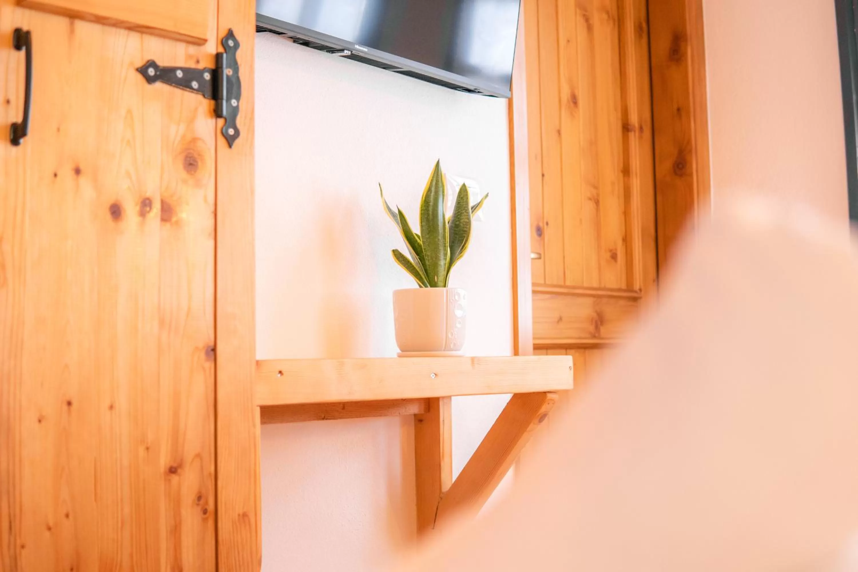 Decorative detail, TV/Entertainment Center in Porta7 Hotel