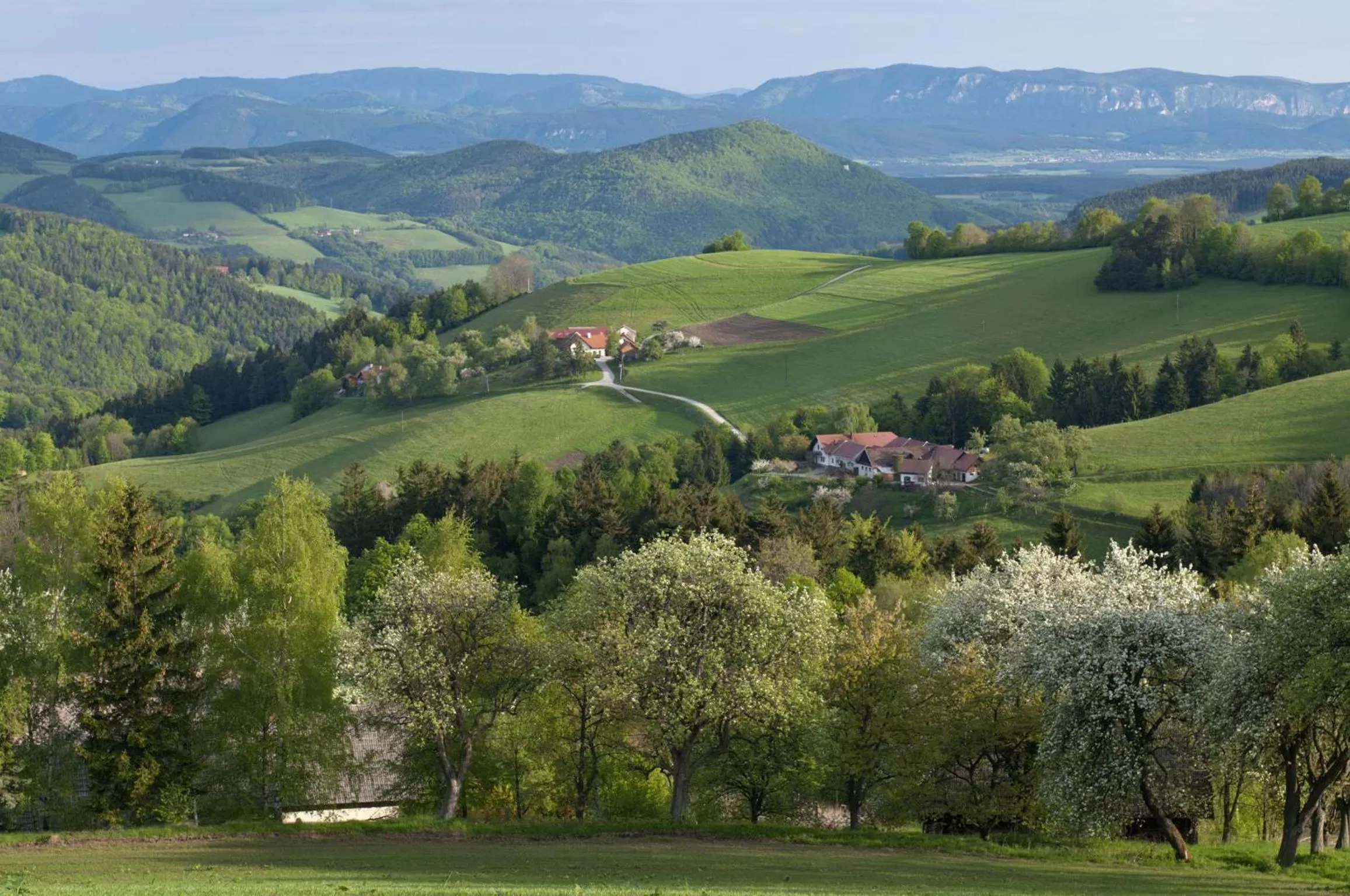Natural landscape, Bird's-eye View in Hotel Post Hönigwirt