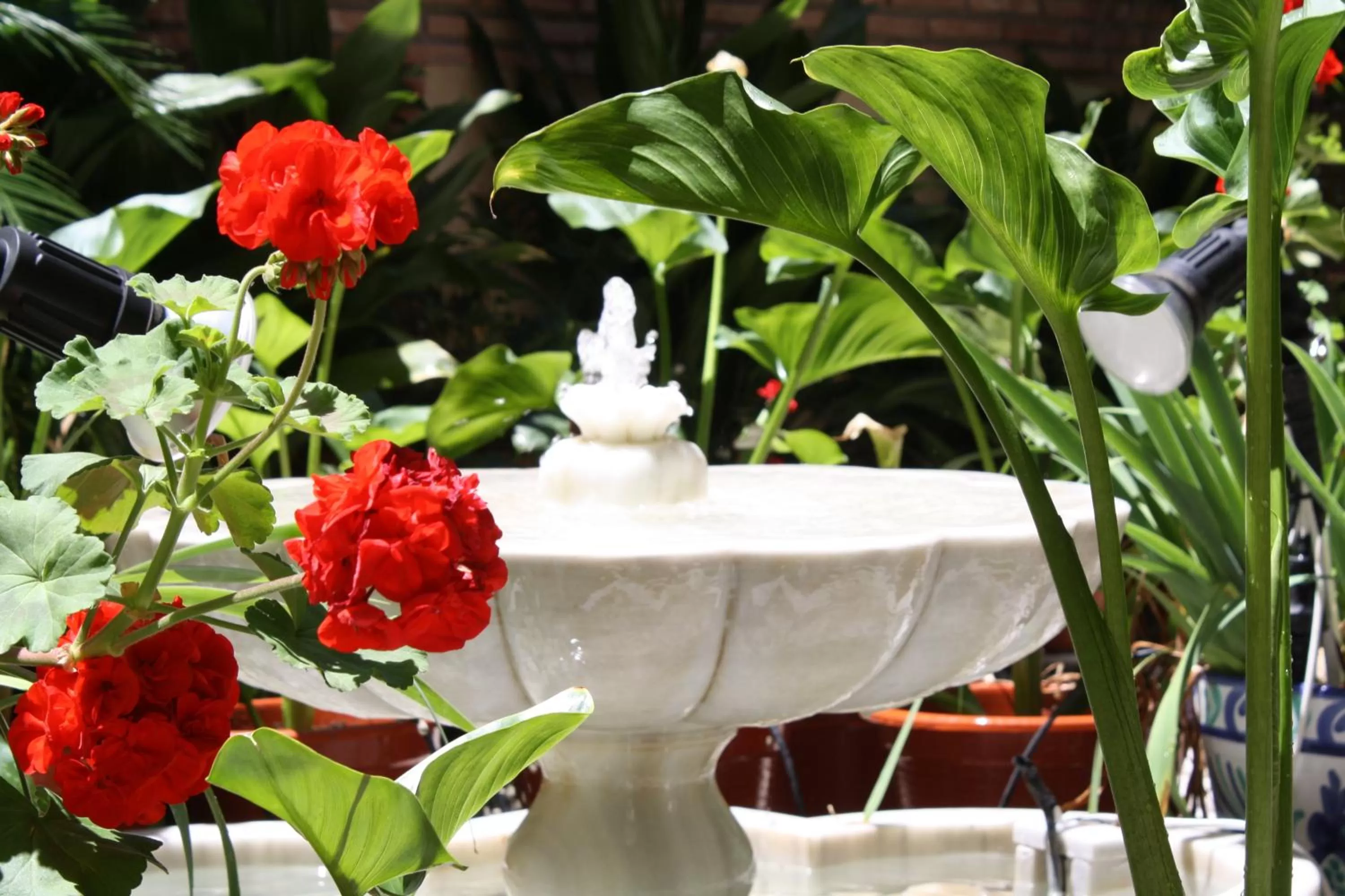 Business facilities in Abadía Hotel