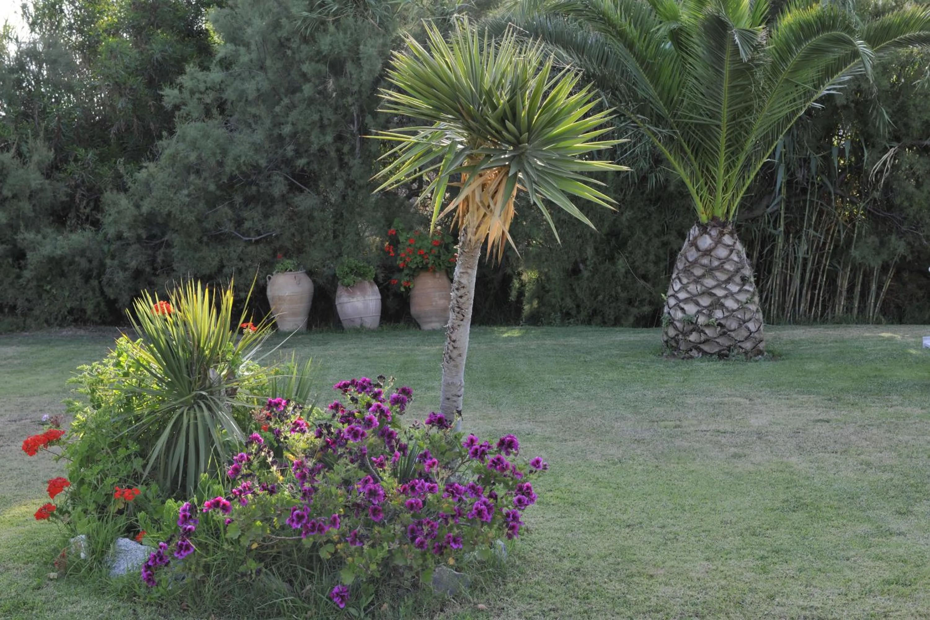 Garden in Ammos Naxos Exclusive Apartments & Studios
