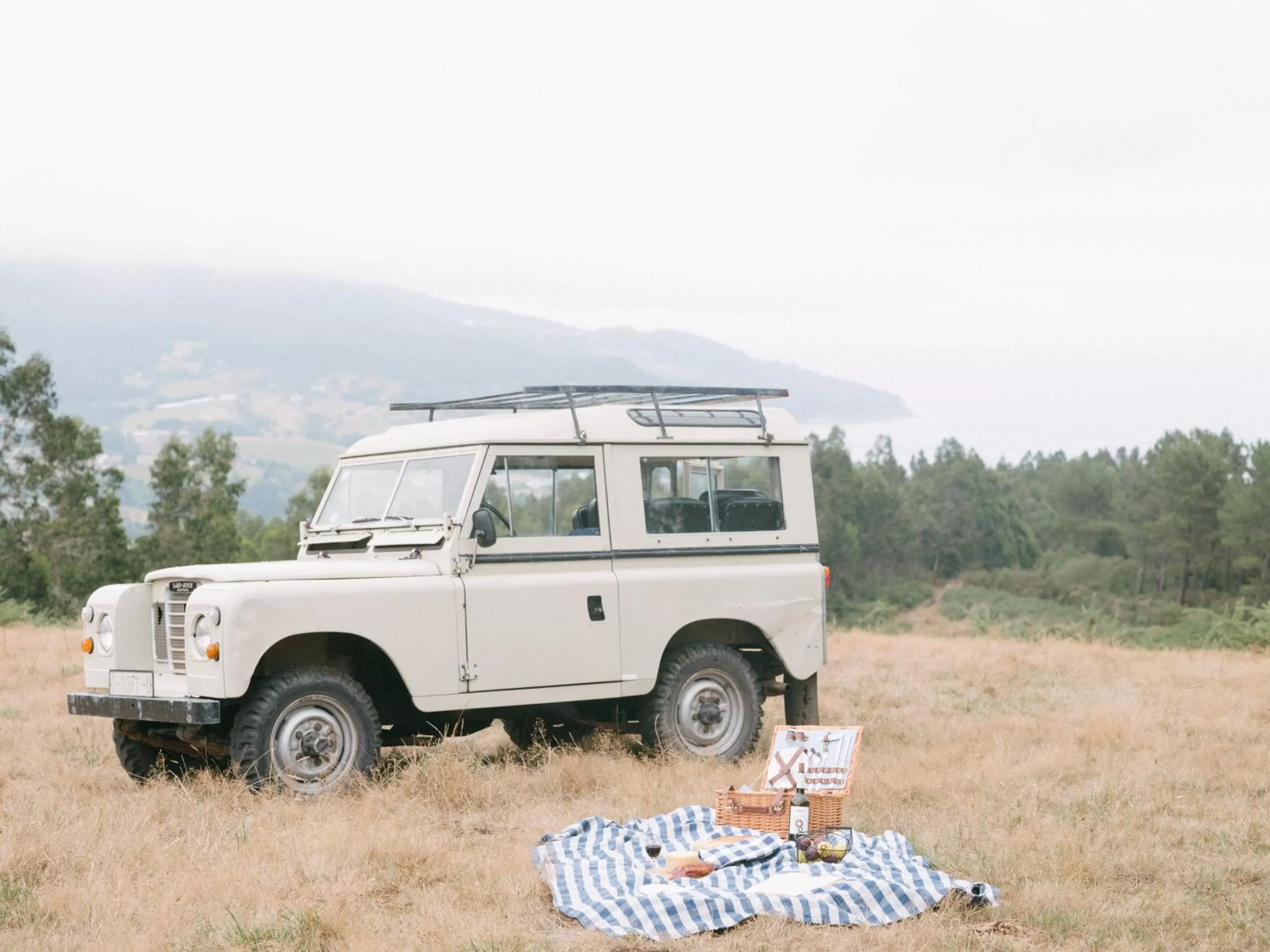 Hotel Nafarrola - Gastronomy & Wine