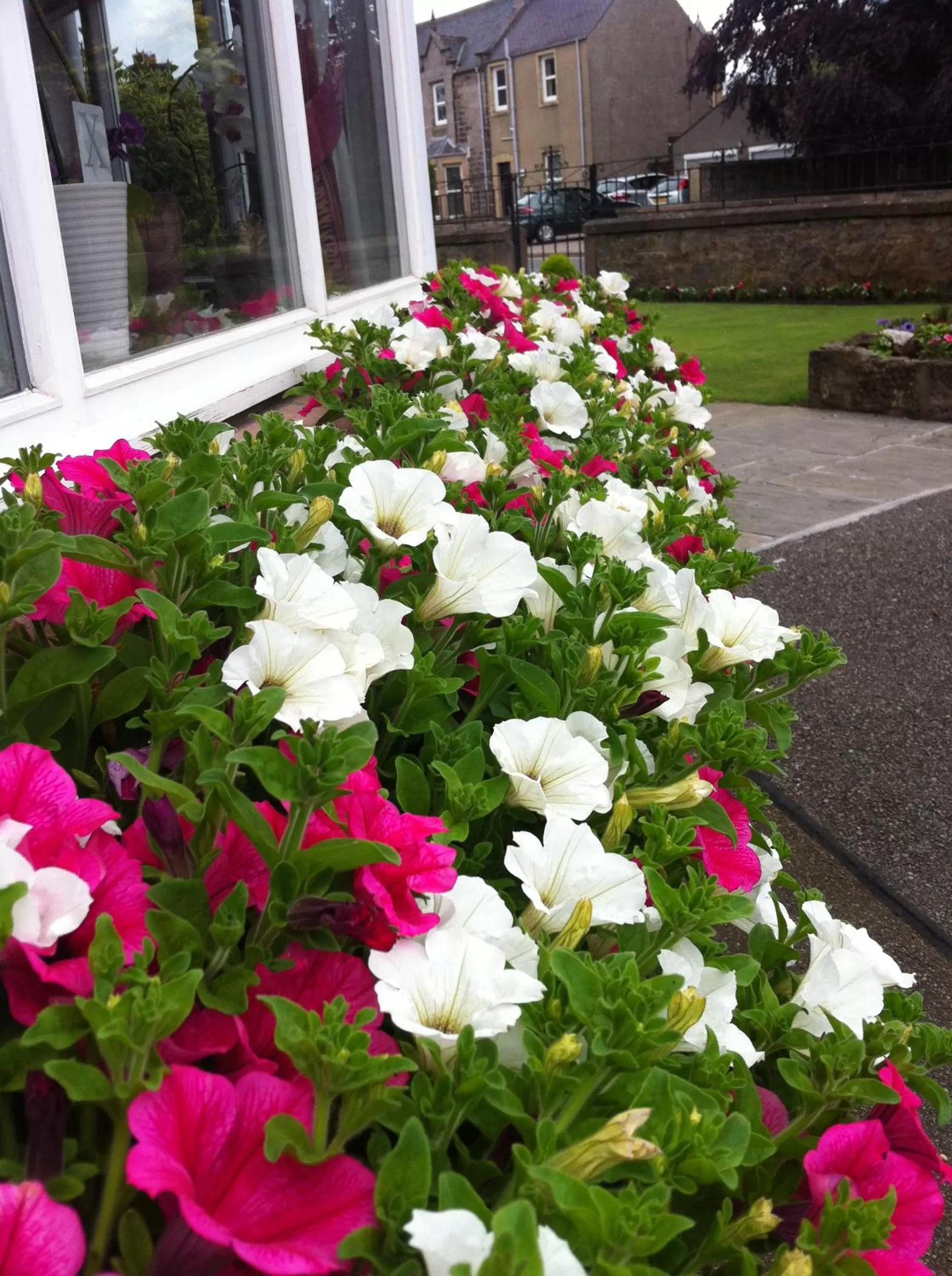 Garden in Sunninghill Hotel