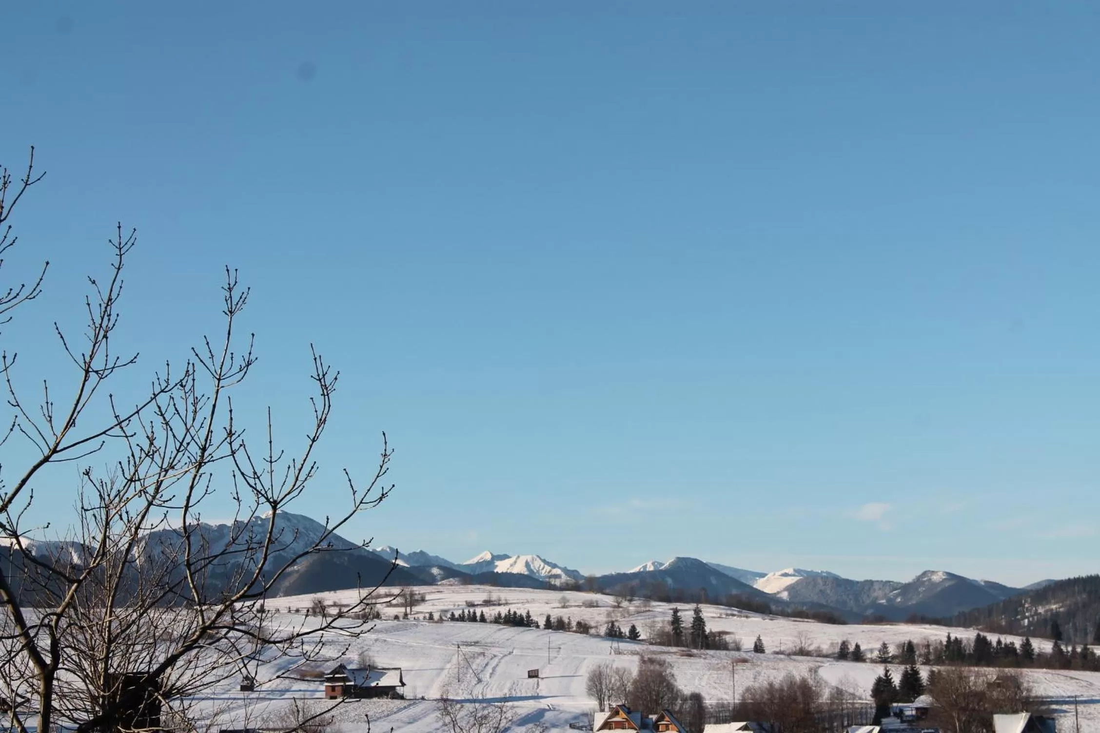 Day, Winter in Willa Grzesiczek