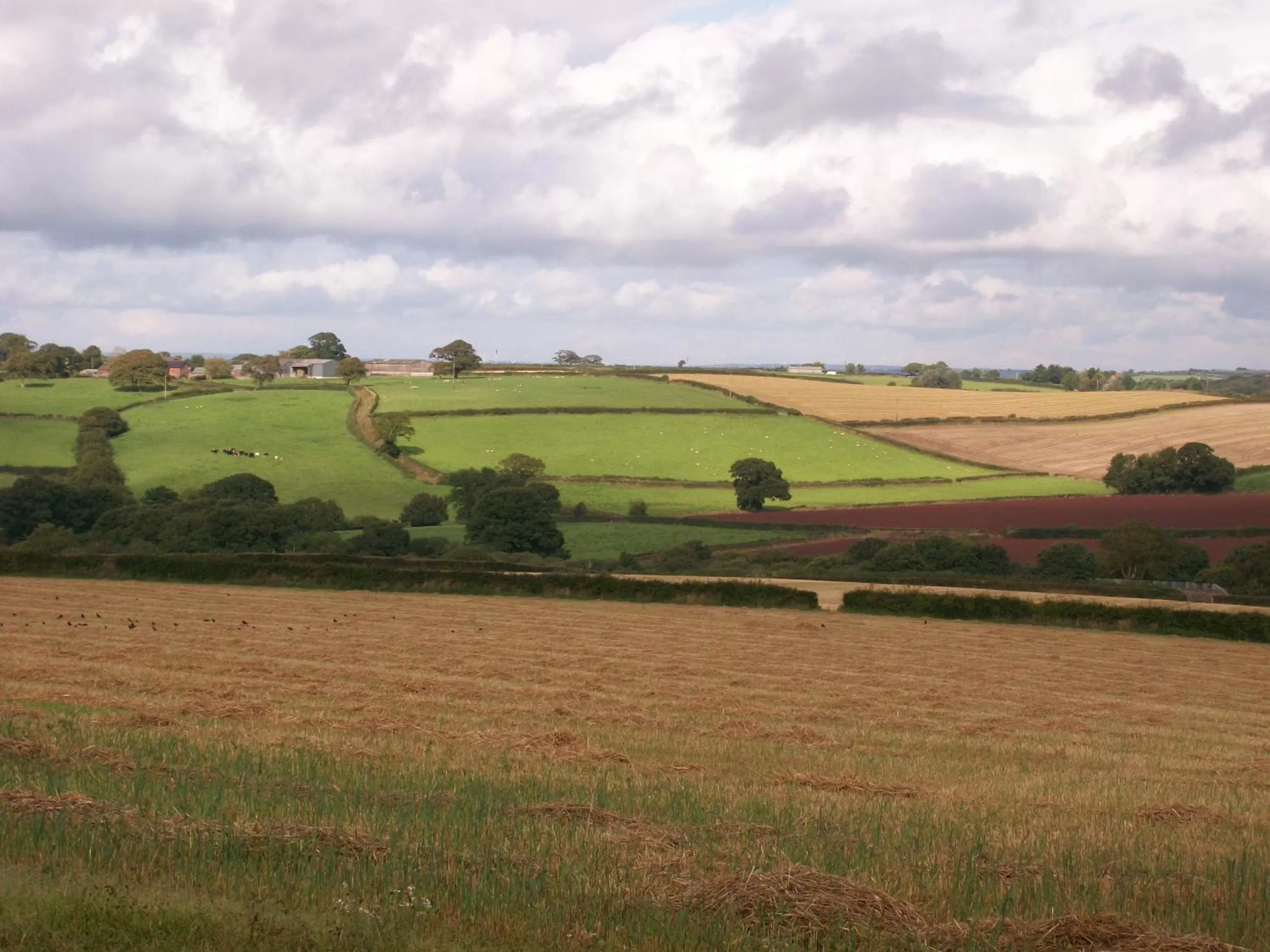 Natural landscape in Middletown Farmhouse B&B