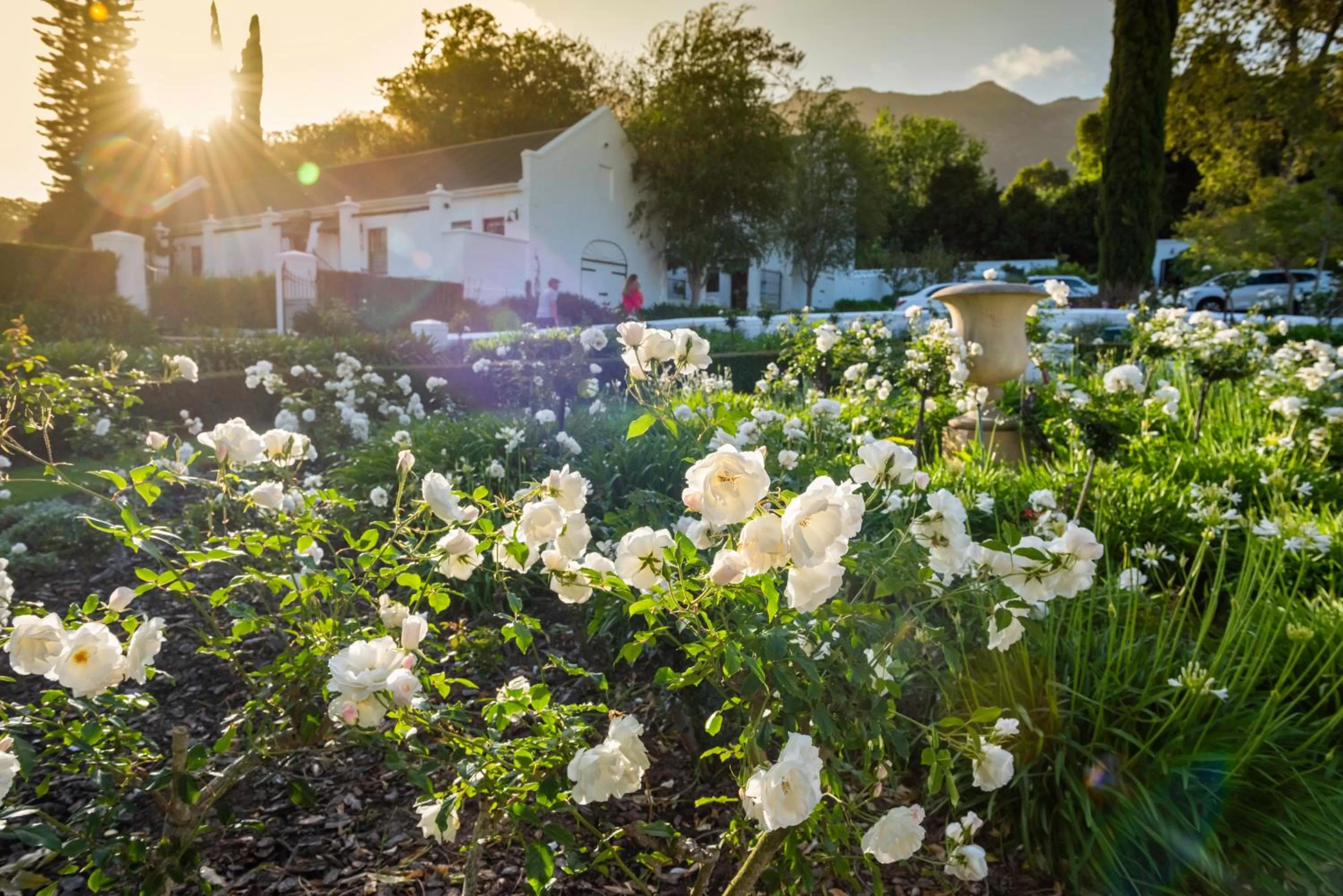 Mountain view in The Cellars-Hohenort